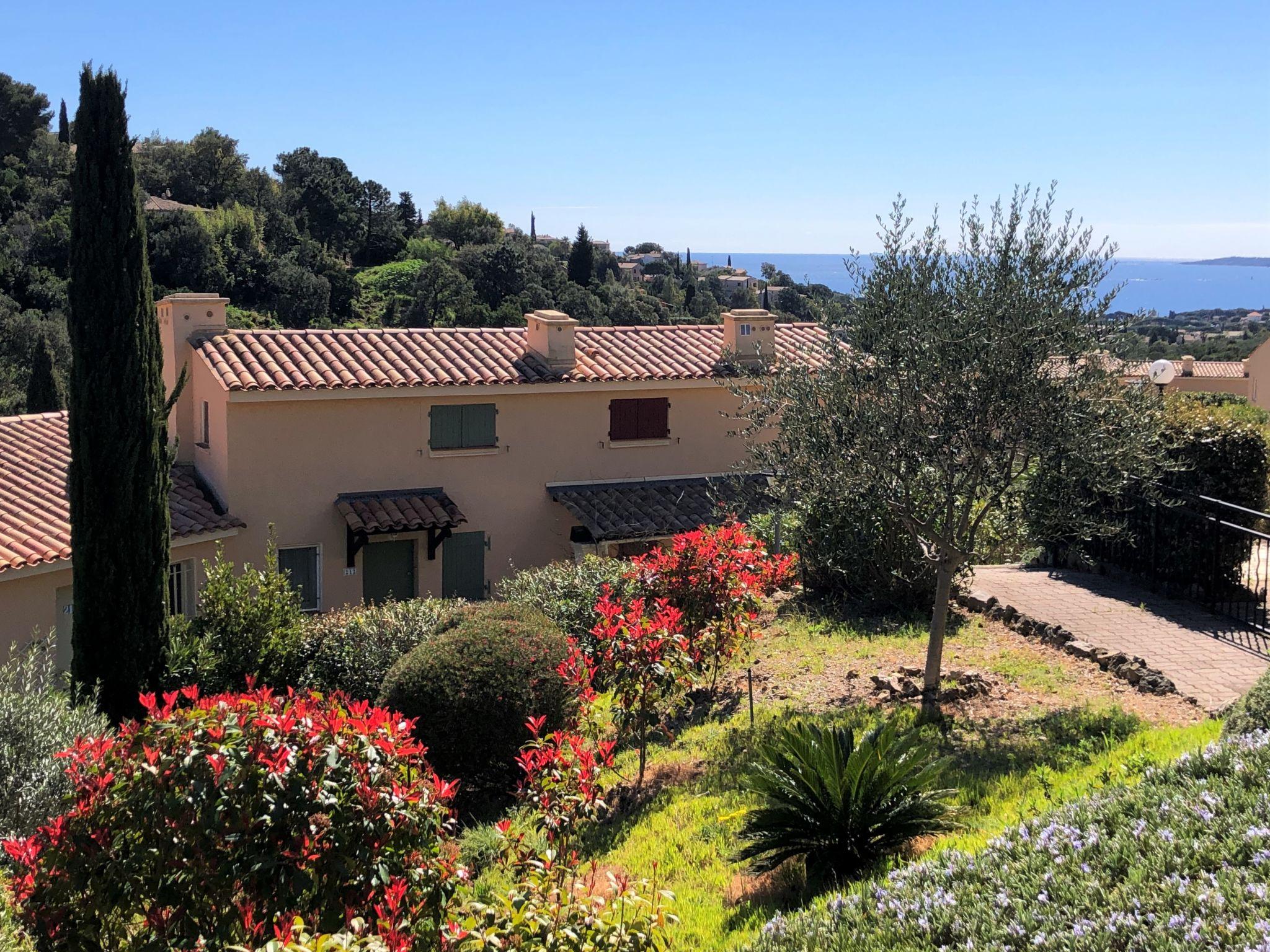 Foto 19 - Apartamento de 1 habitación en Roquebrune-sur-Argens con piscina y vistas al mar