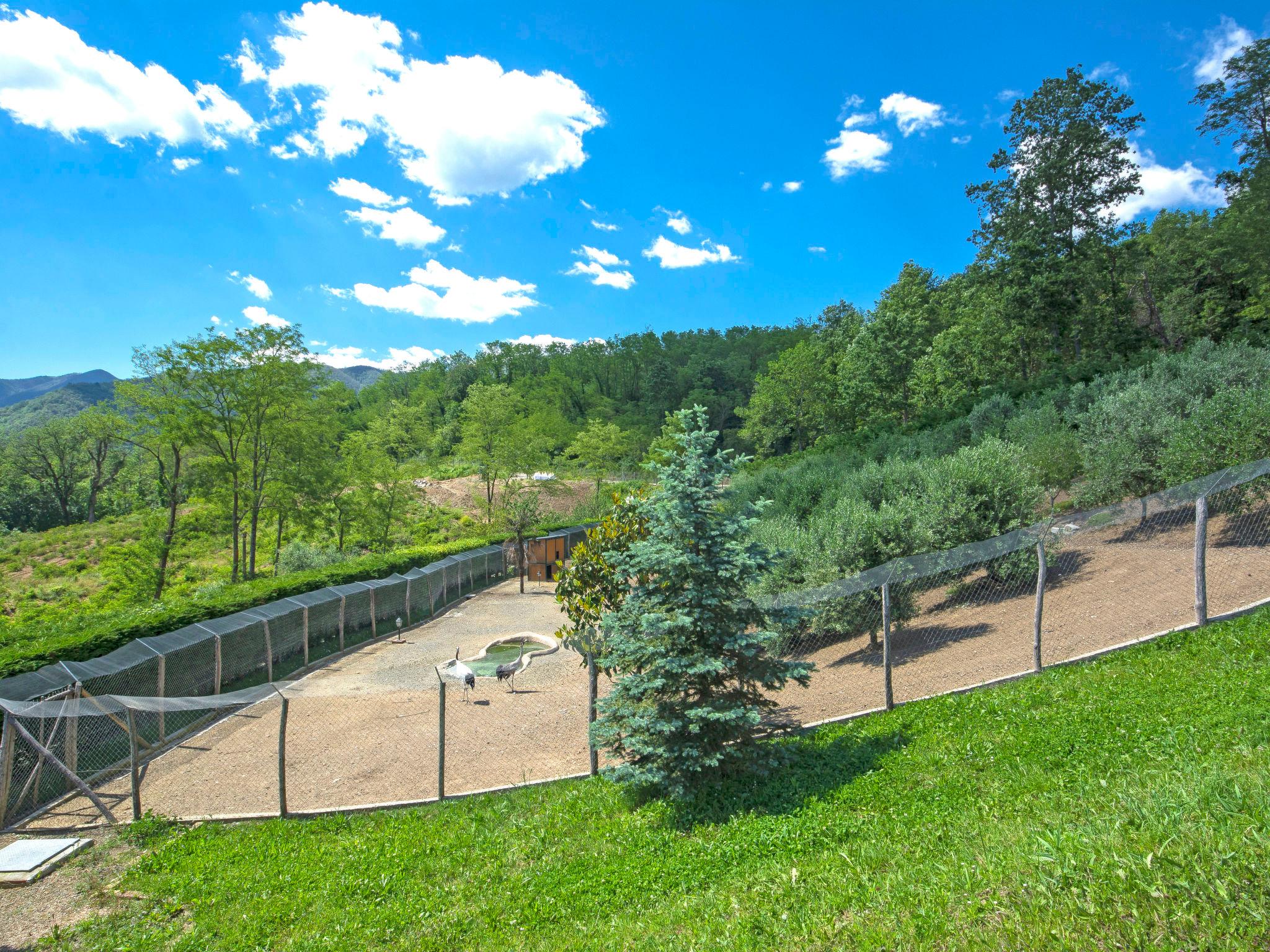 Photo 13 - Maison en Tresana avec piscine et jardin