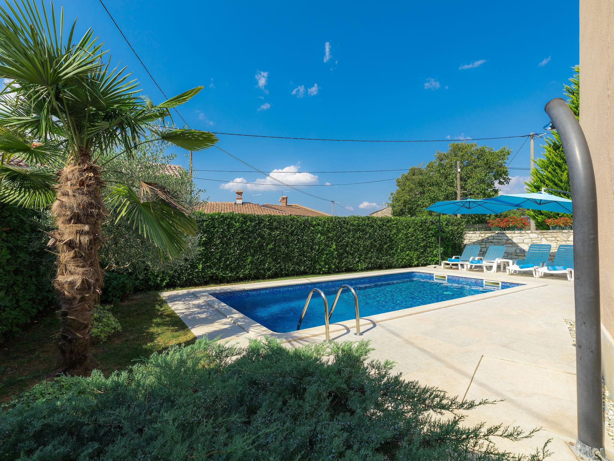 Photo 6 - Maison de 3 chambres à Sveti Petar u Šumi avec piscine privée et vues à la mer