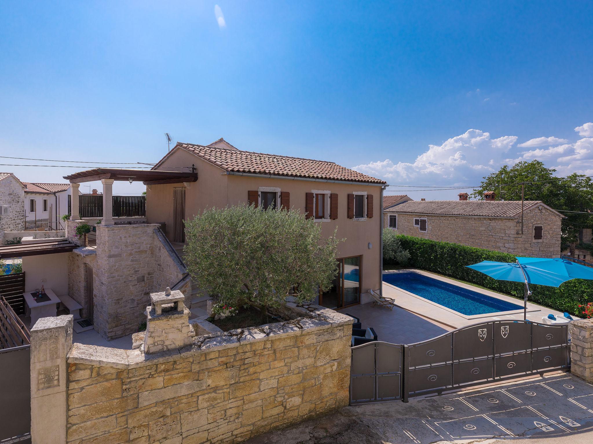 Photo 42 - Maison de 3 chambres à Sveti Petar u Šumi avec piscine privée et jardin