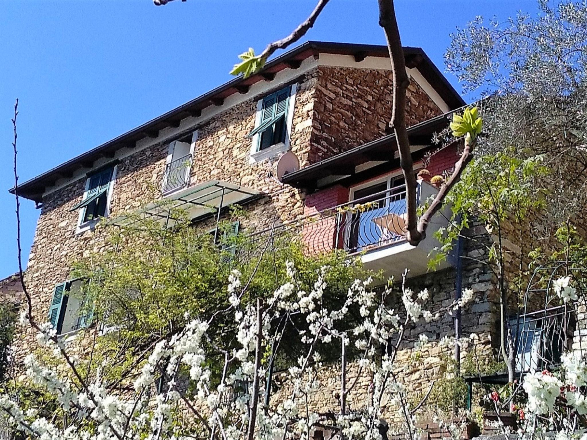 Photo 1 - Maison de 1 chambre à Stellanello avec jardin et terrasse