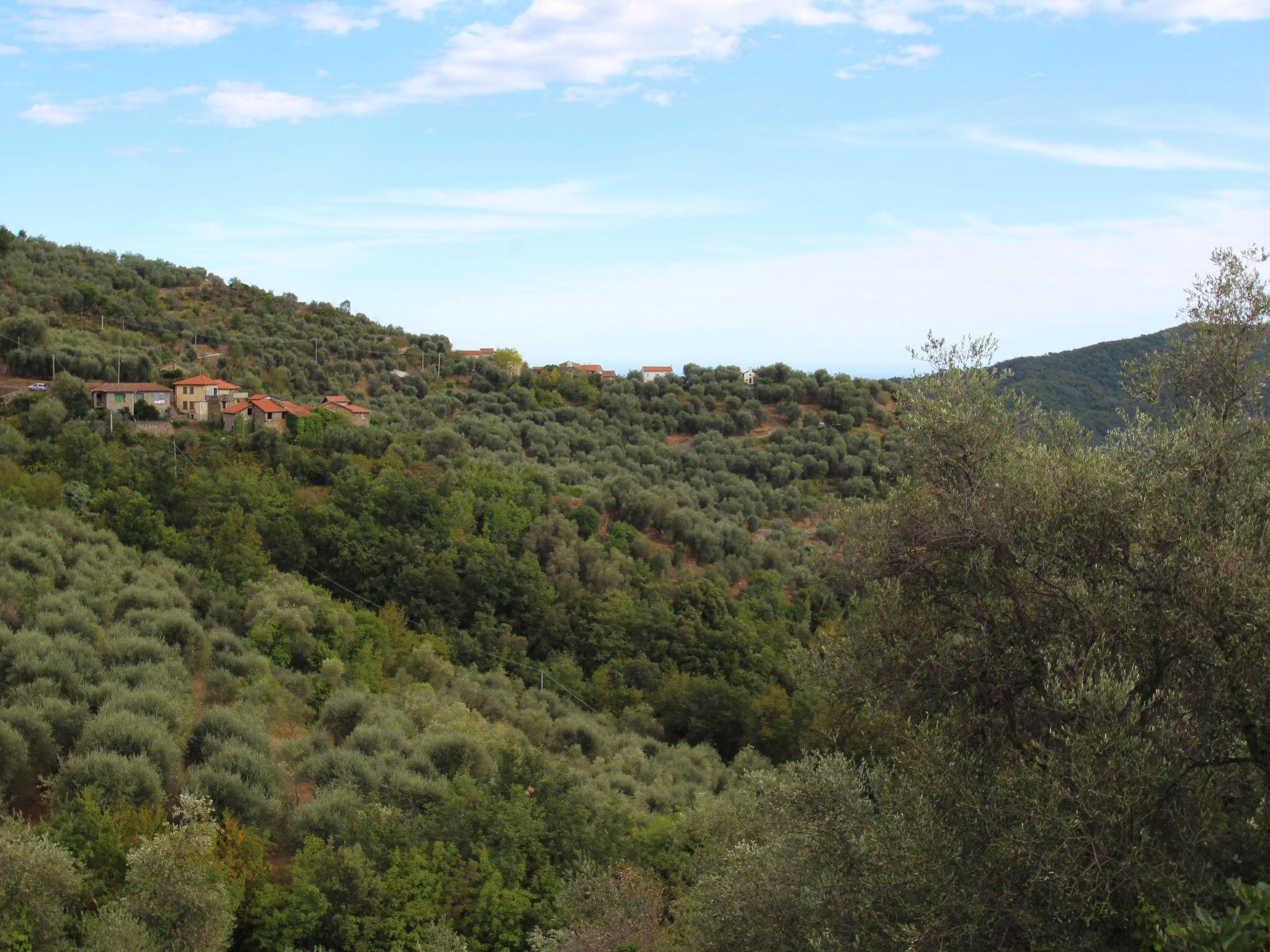 Photo 19 - 1 bedroom House in Stellanello with terrace