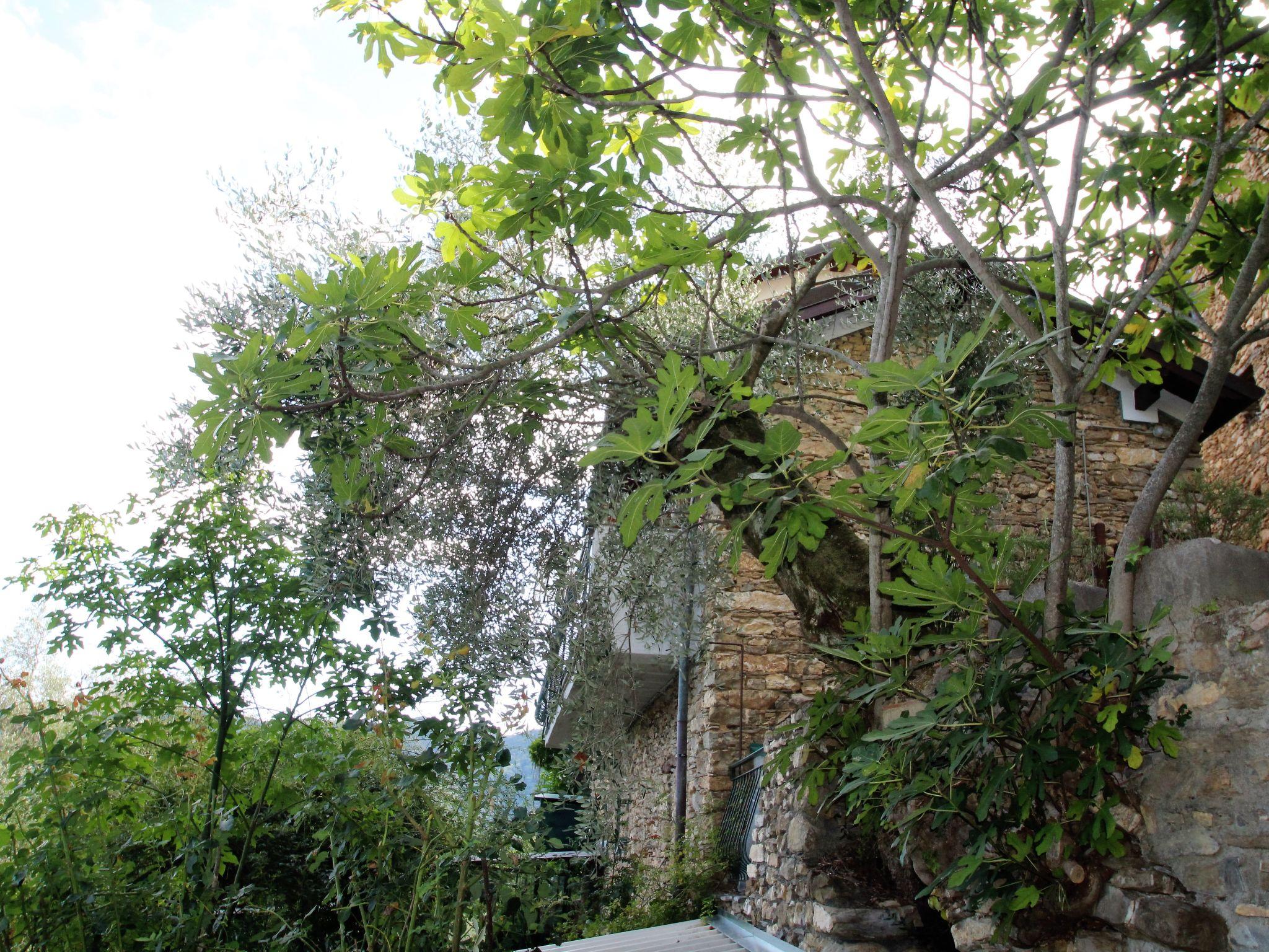 Photo 21 - Maison de 1 chambre à Stellanello avec jardin et terrasse