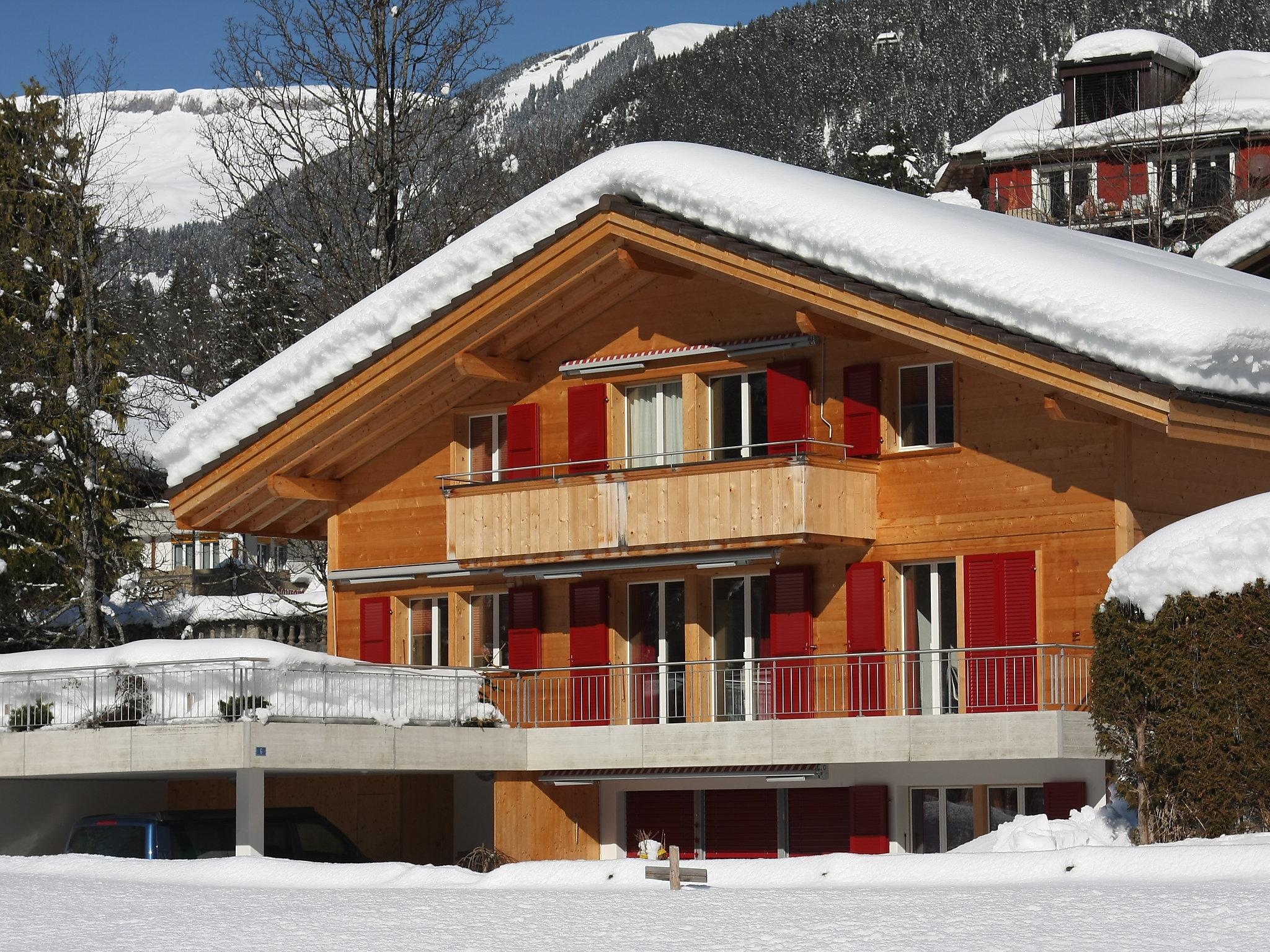 Foto 21 - Appartamento con 3 camere da letto a Grindelwald con vista sulle montagne