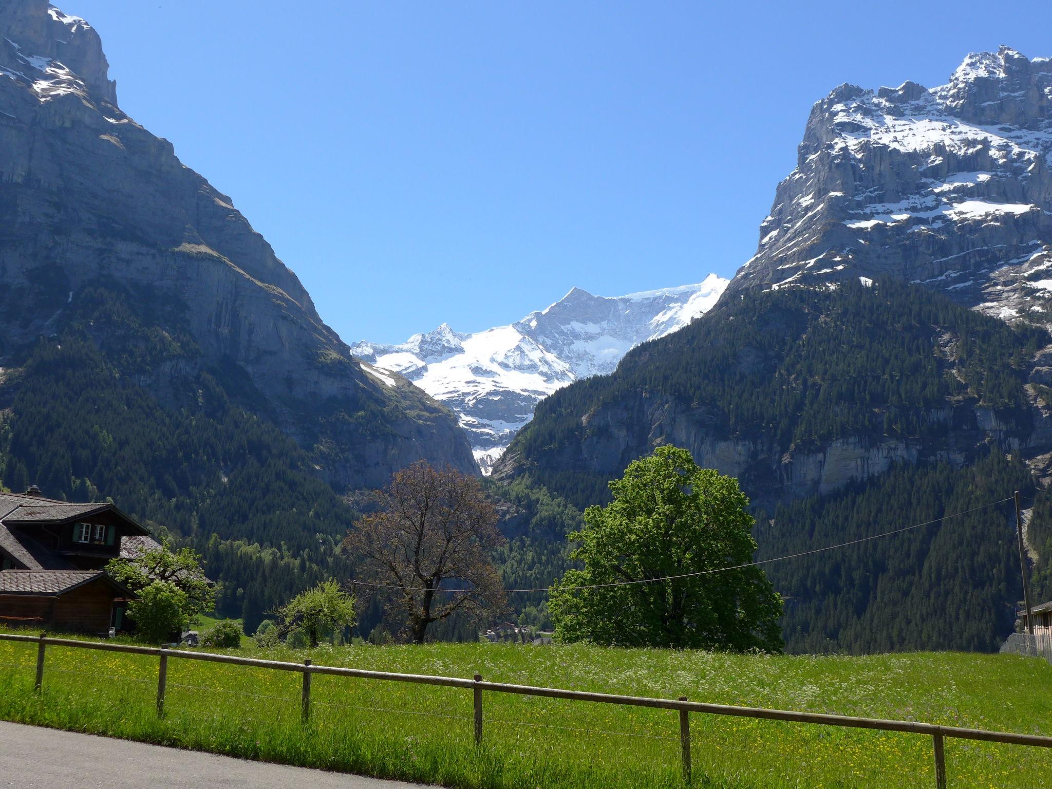 Foto 14 - Apartamento de 3 habitaciones en Grindelwald con vistas a la montaña