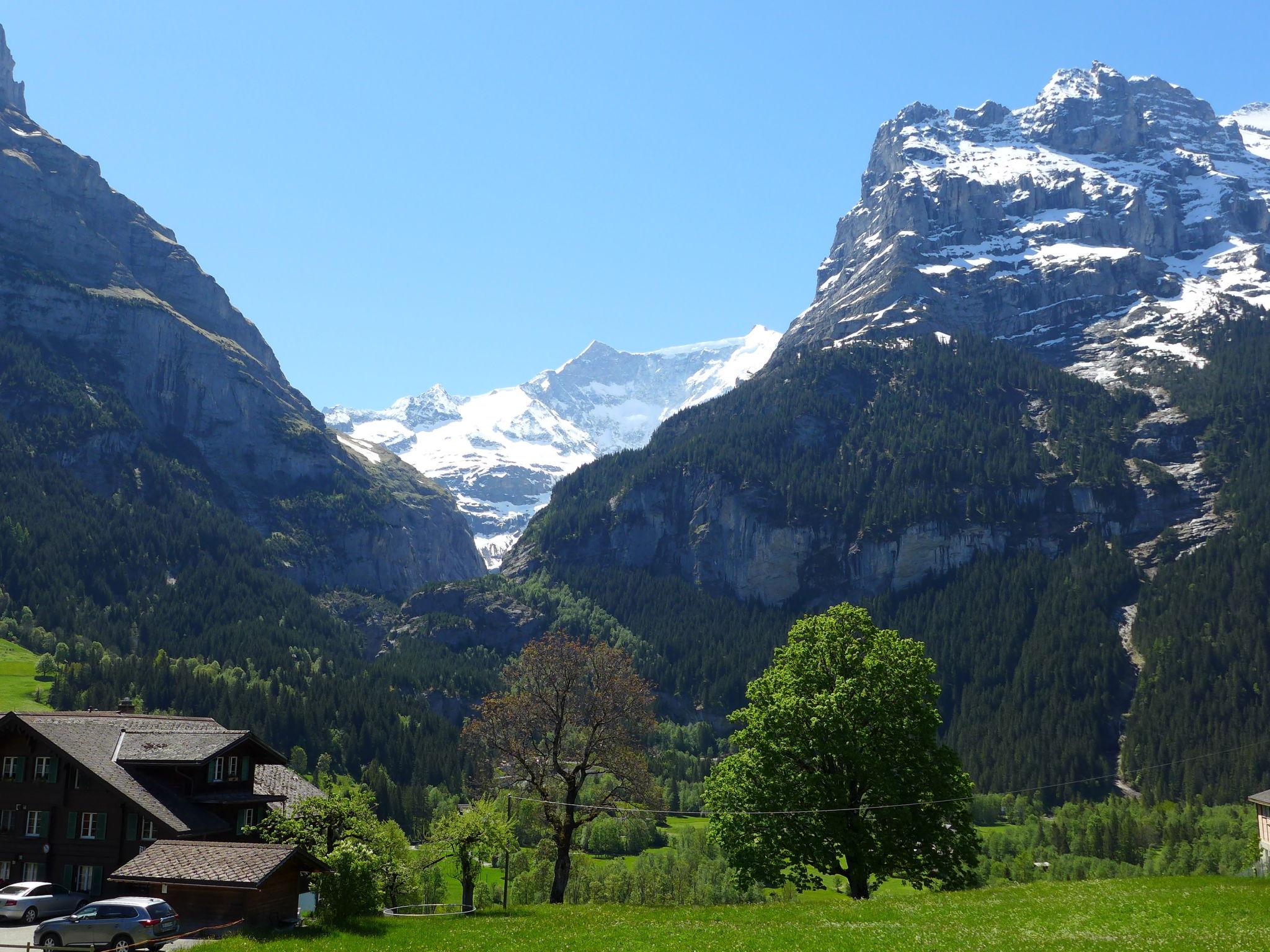 Foto 17 - Appartamento con 3 camere da letto a Grindelwald con vista sulle montagne