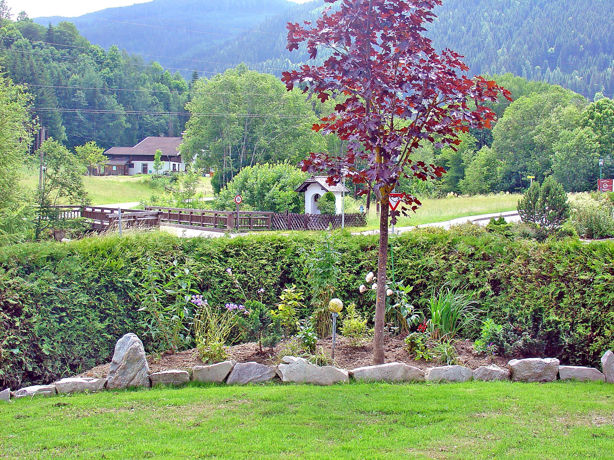 Foto 5 - Apartment mit 2 Schlafzimmern in Forstau mit garten und blick auf die berge