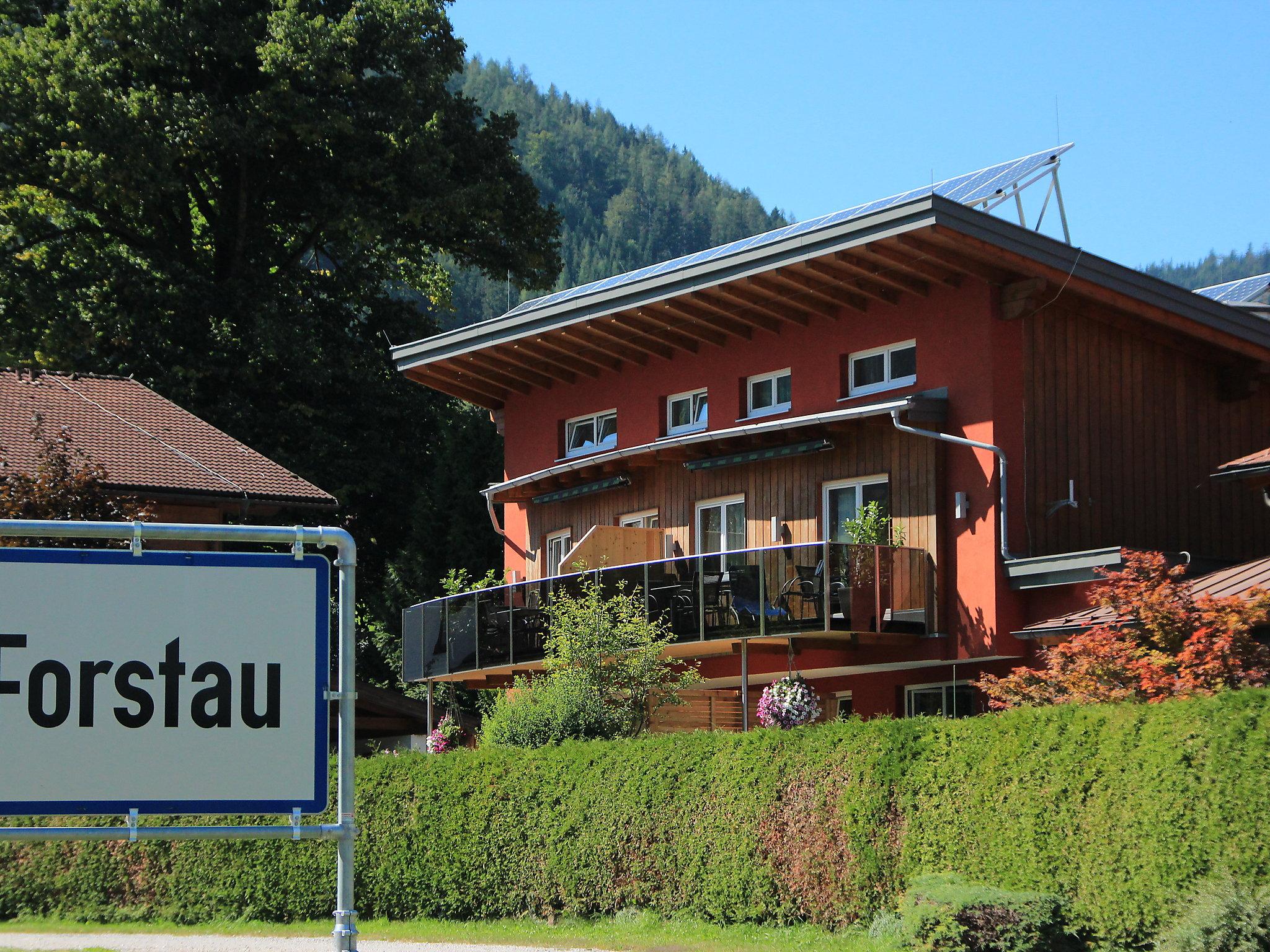 Photo 17 - Appartement de 2 chambres à Forstau avec jardin et vues sur la montagne