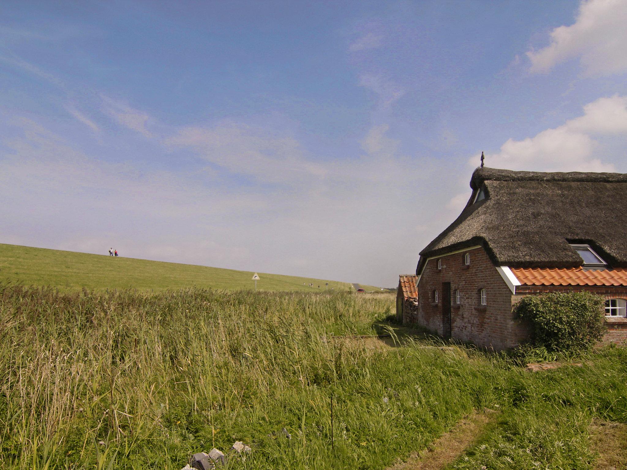 Photo 32 - 2 bedroom House in Norden with garden and terrace