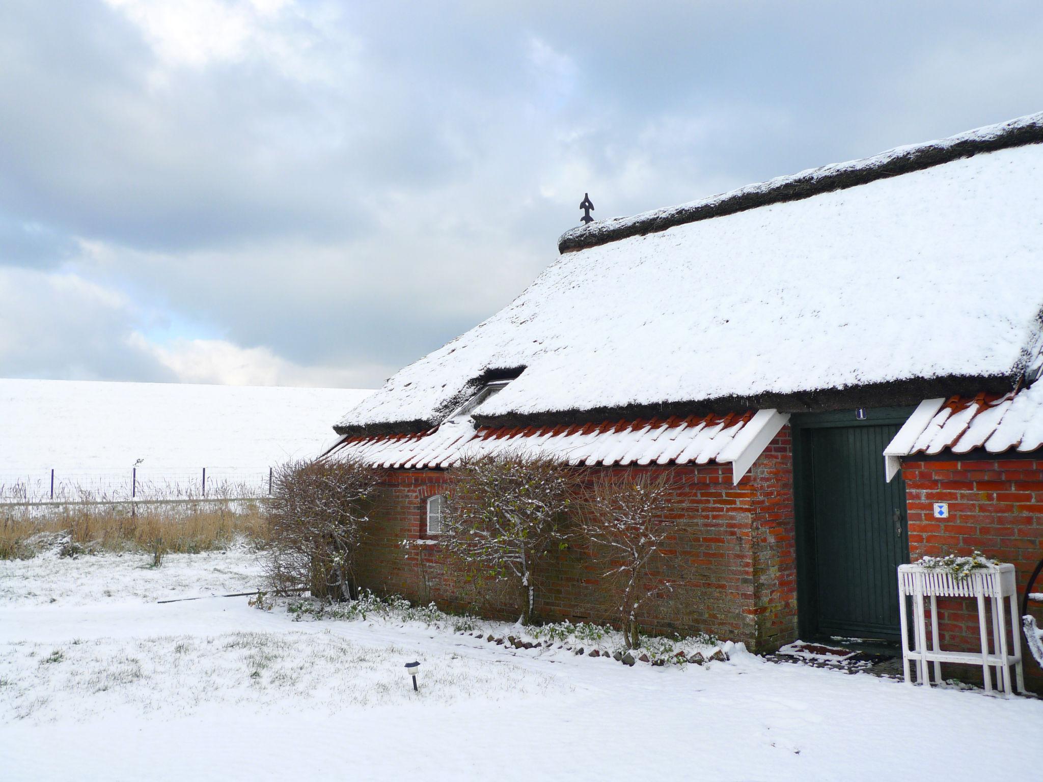 Photo 44 - 2 bedroom House in Norden with garden and terrace