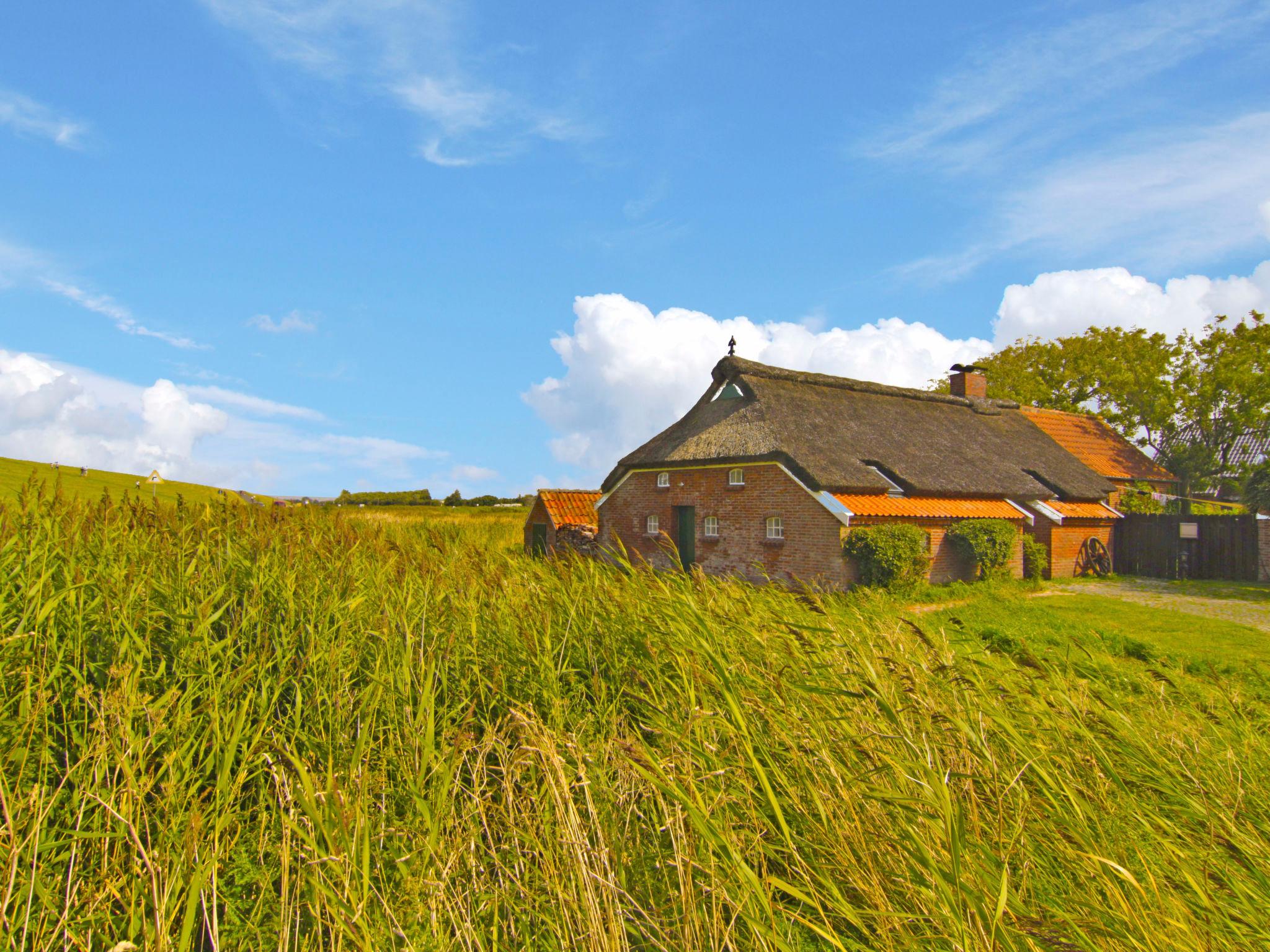 Foto 1 - Haus mit 1 Schlafzimmer in Norden mit garten und blick aufs meer