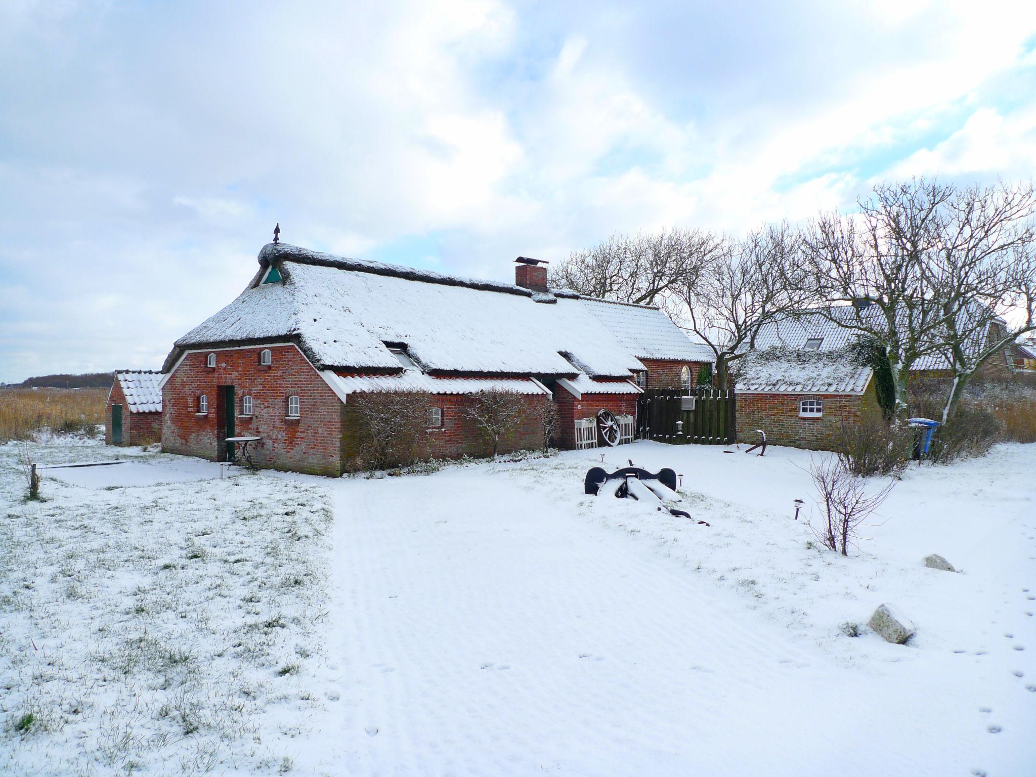 Photo 46 - 2 bedroom House in Norden with garden and terrace