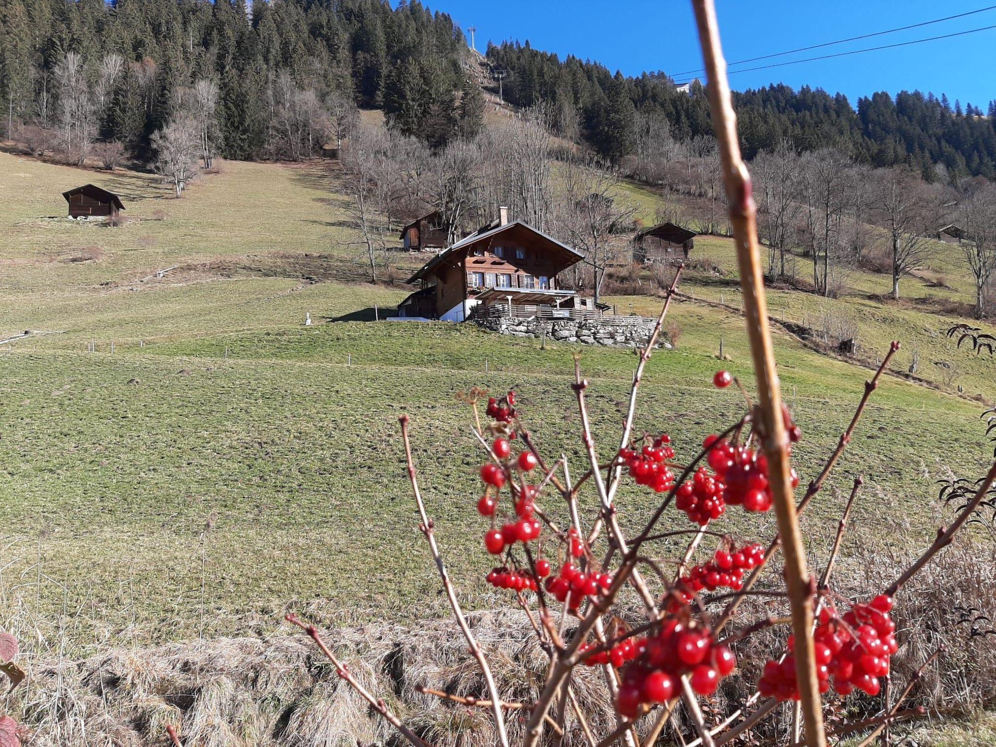 Photo 7 - 1 bedroom Apartment in Lenk