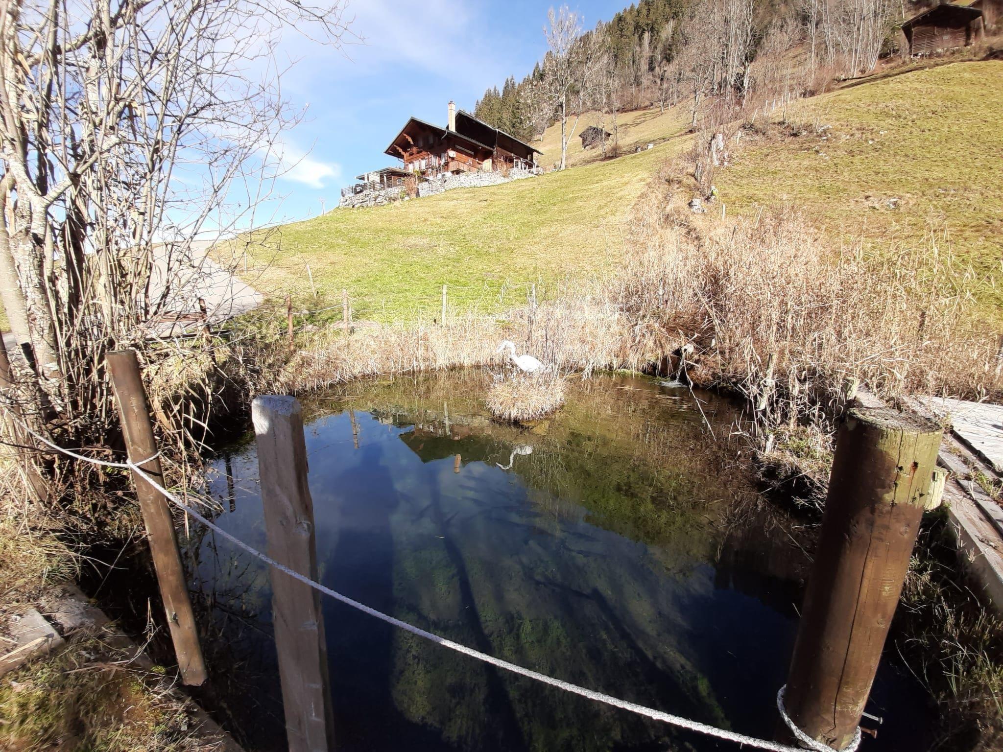 Photo 20 - 1 bedroom Apartment in Lenk