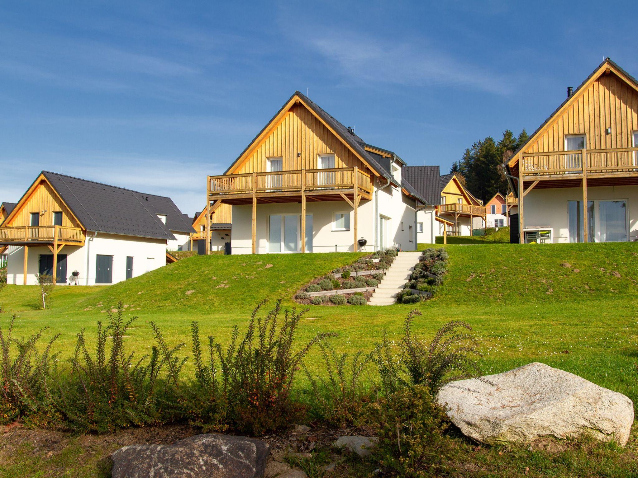 Foto 19 - Casa de 6 quartos em Frymburk com terraço e vista para a montanha