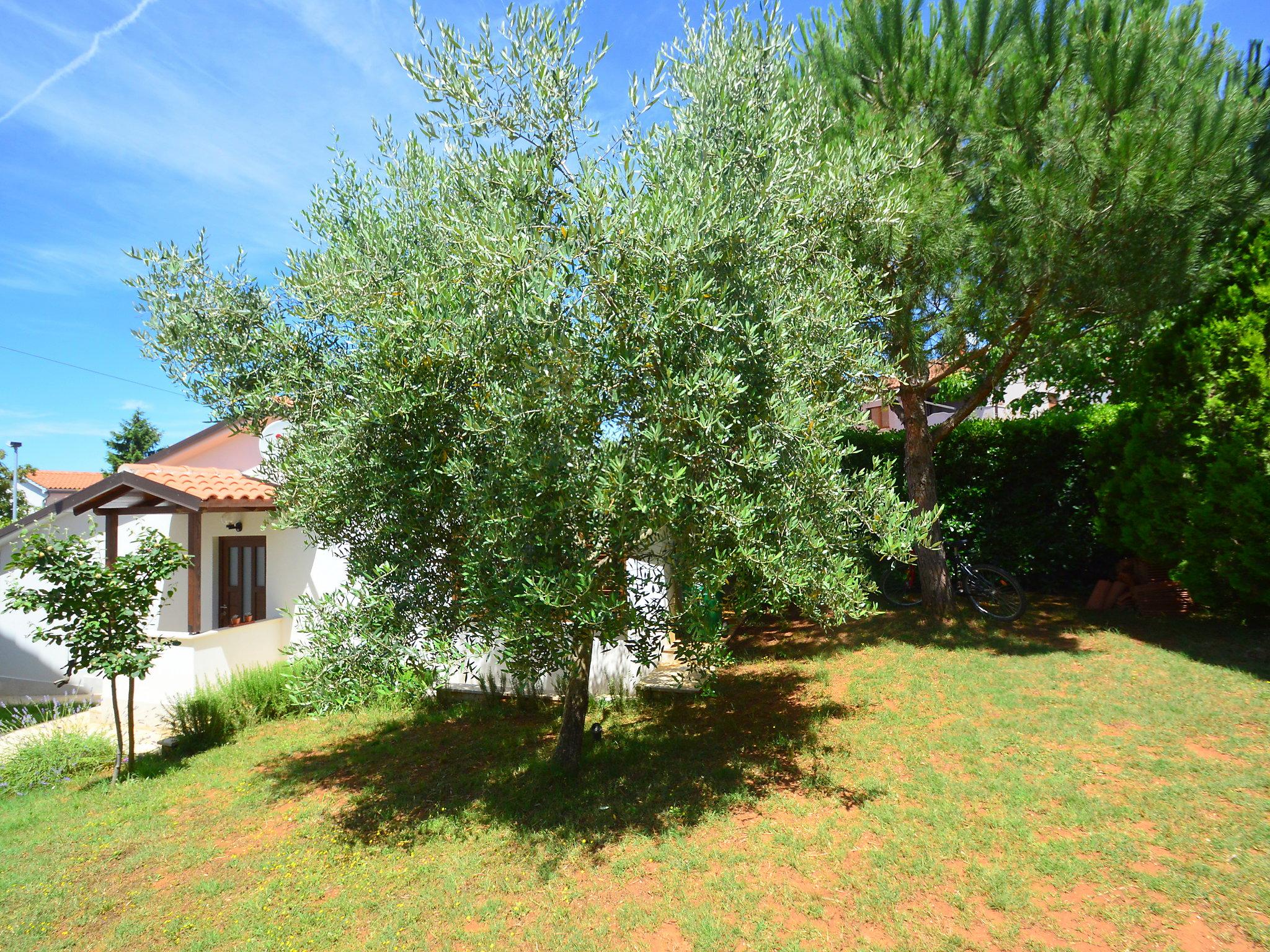 Photo 11 - Maison de 1 chambre à Pula avec piscine et jardin