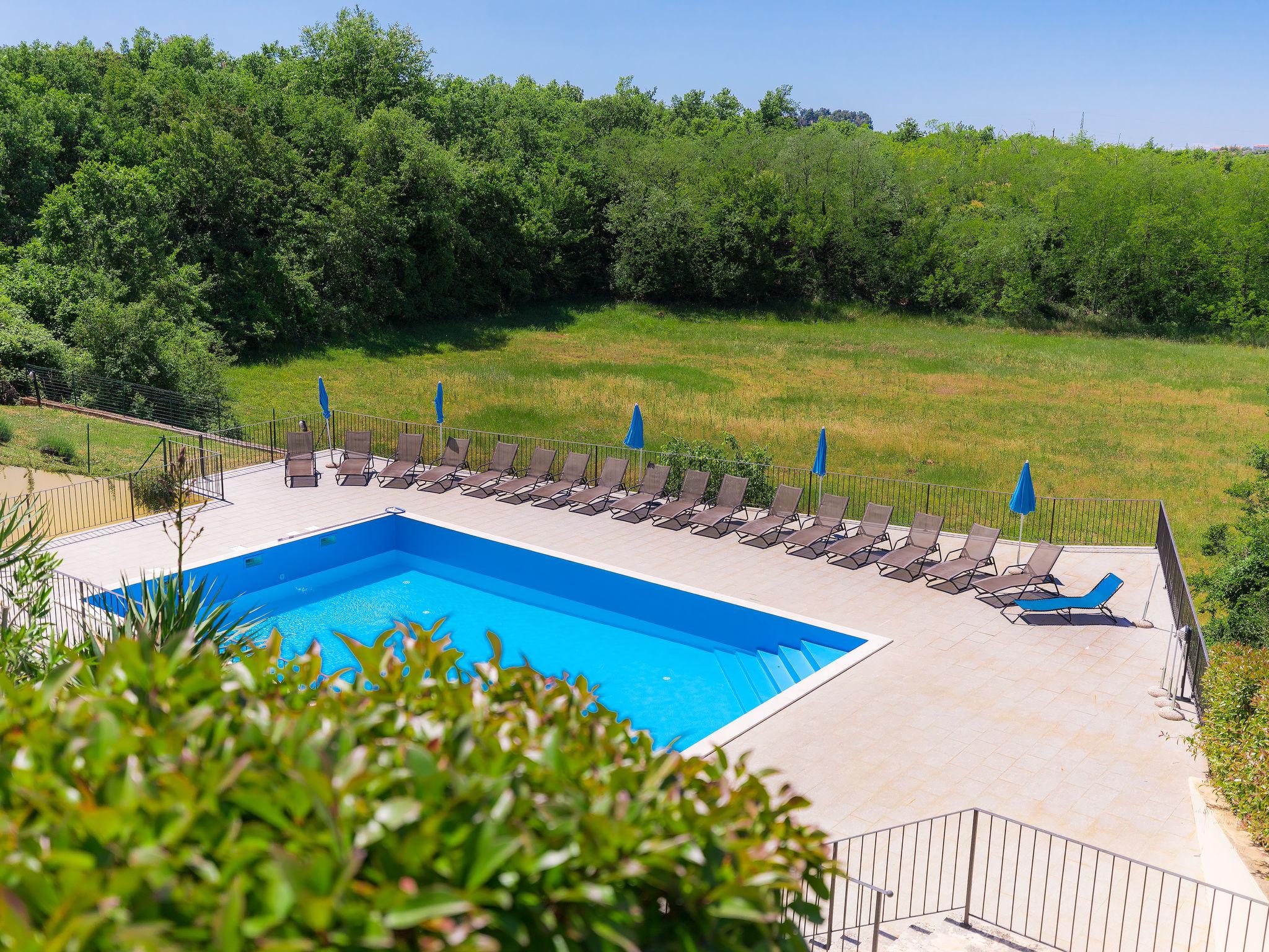 Photo 39 - Maison de 3 chambres à Buje avec piscine et jardin