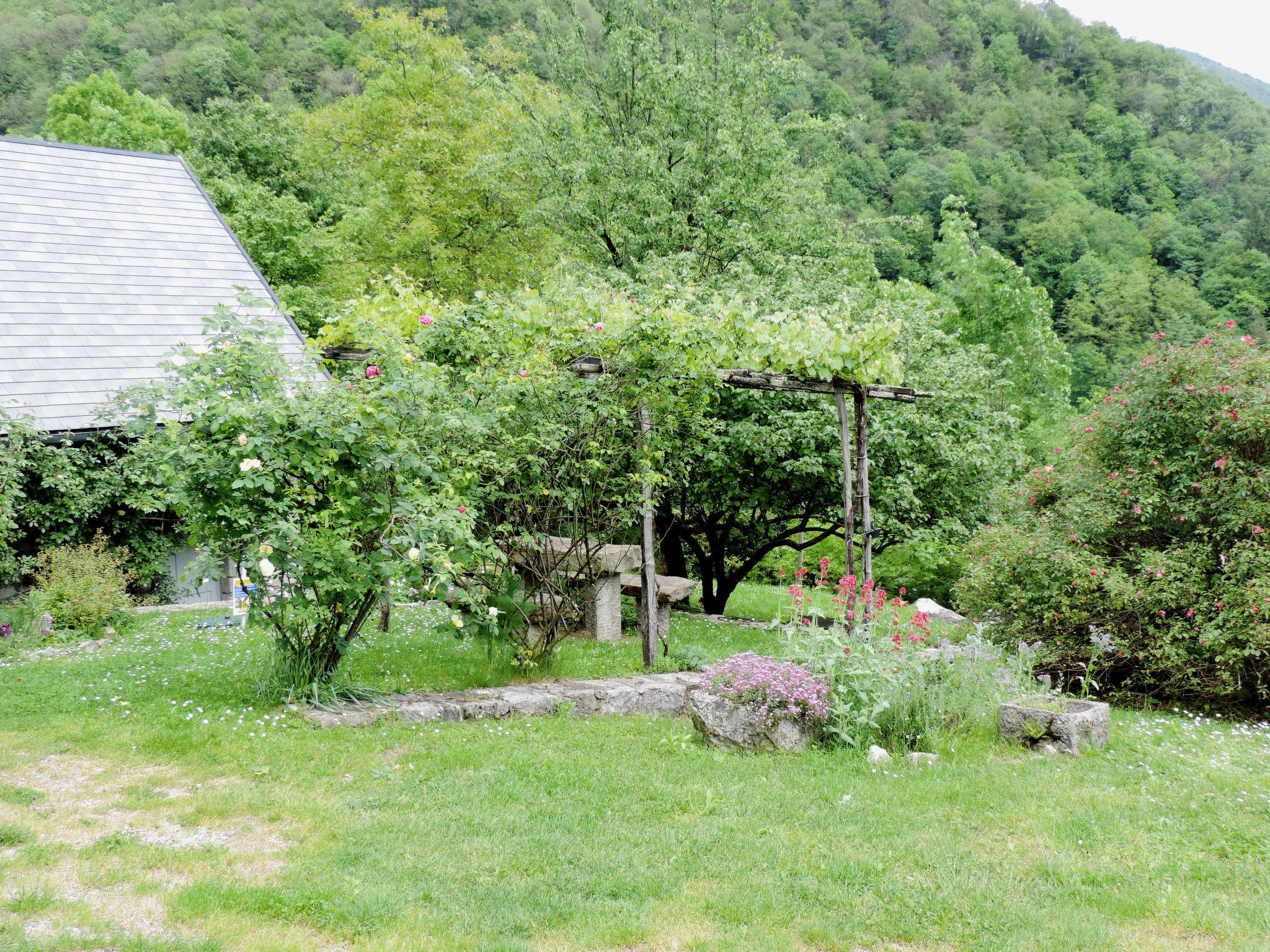 Photo 19 - Maison de 1 chambre à Grimacco avec jardin