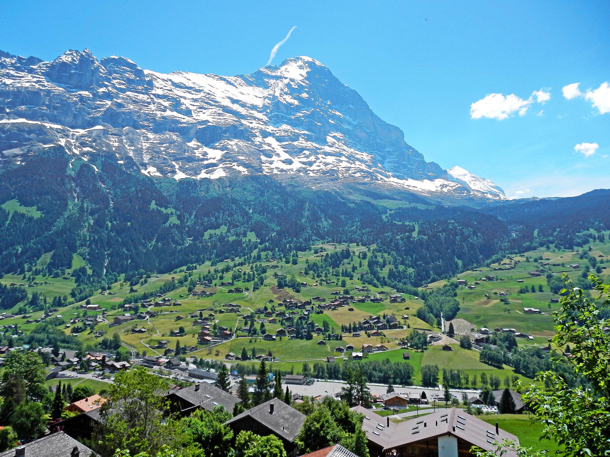 Foto 20 - Apartamento de 3 quartos em Grindelwald com vista para a montanha
