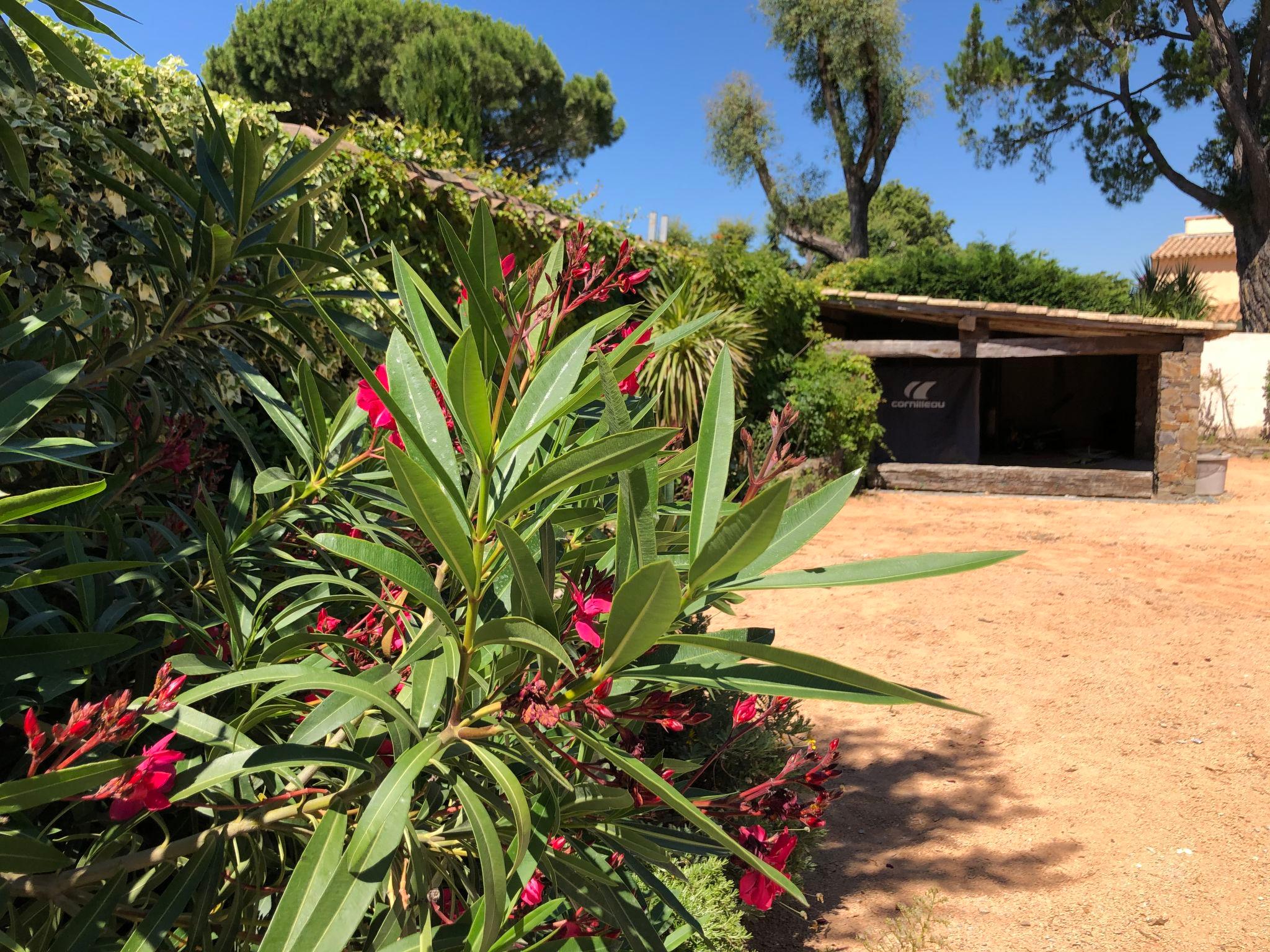 Foto 29 - Casa con 4 camere da letto a Sainte-Maxime con piscina privata e giardino