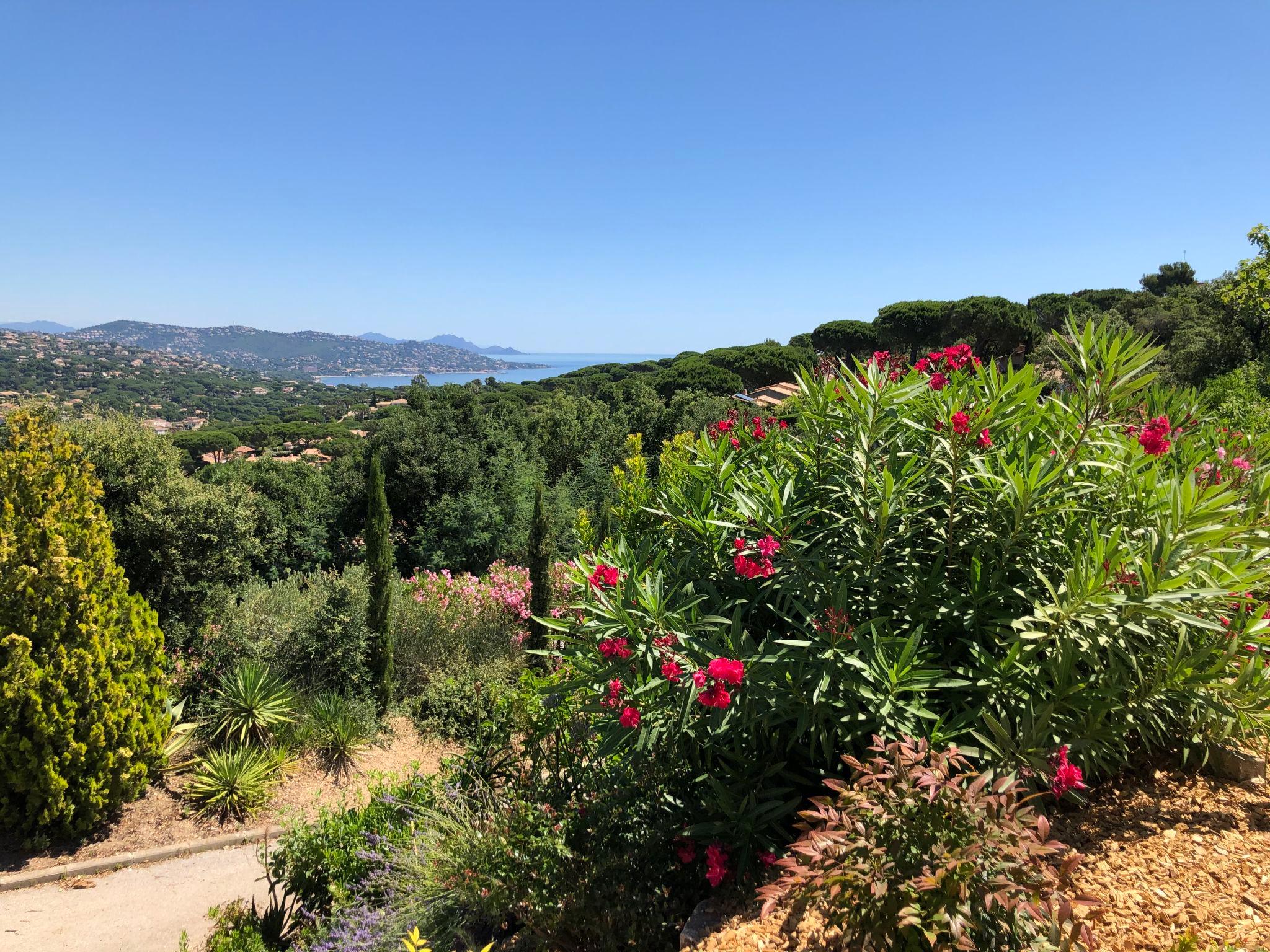 Foto 32 - Casa de 4 quartos em Sainte-Maxime com piscina privada e vistas do mar