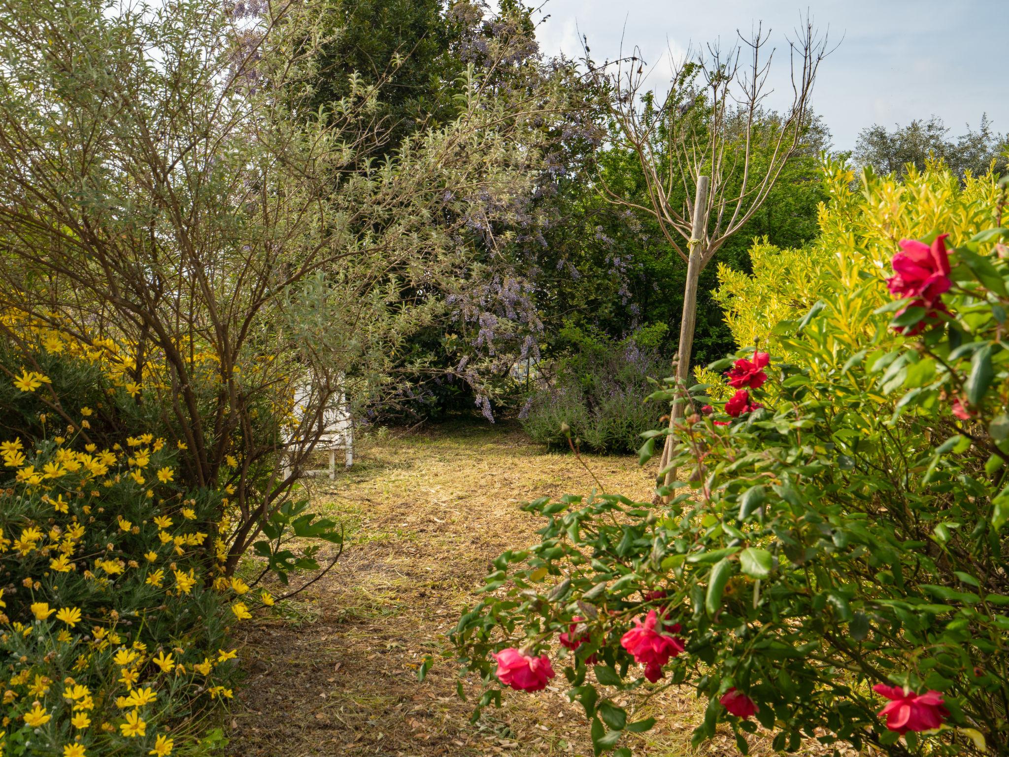 Photo 30 - Maison de 4 chambres à Civezza avec jardin et terrasse