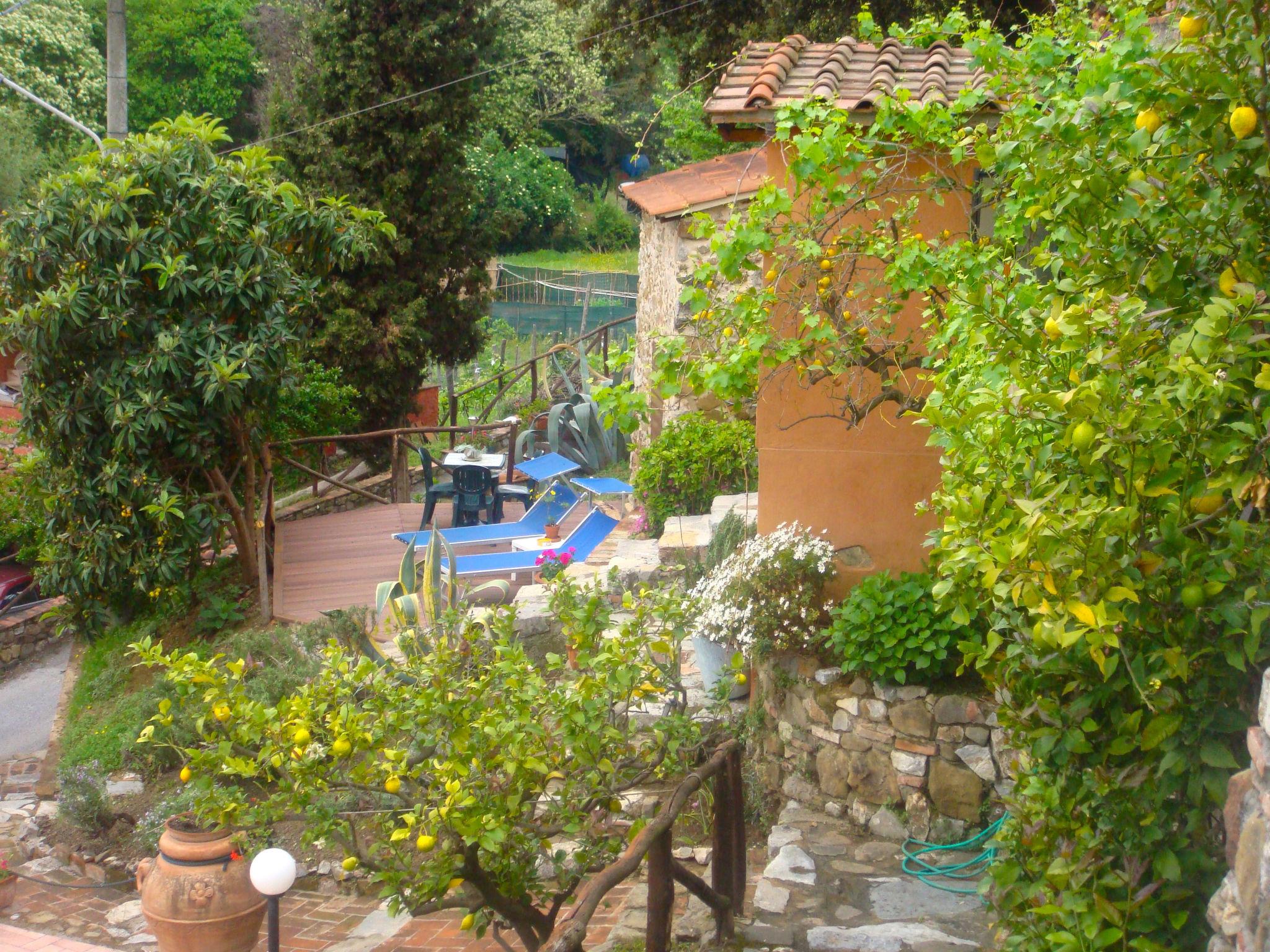 Photo 21 - Maison de 5 chambres à Massarosa avec piscine et jardin