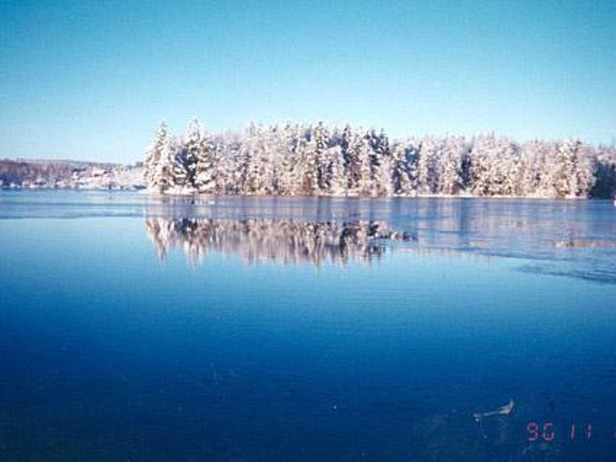 Foto 33 - Haus mit 2 Schlafzimmern in Petäjävesi mit sauna