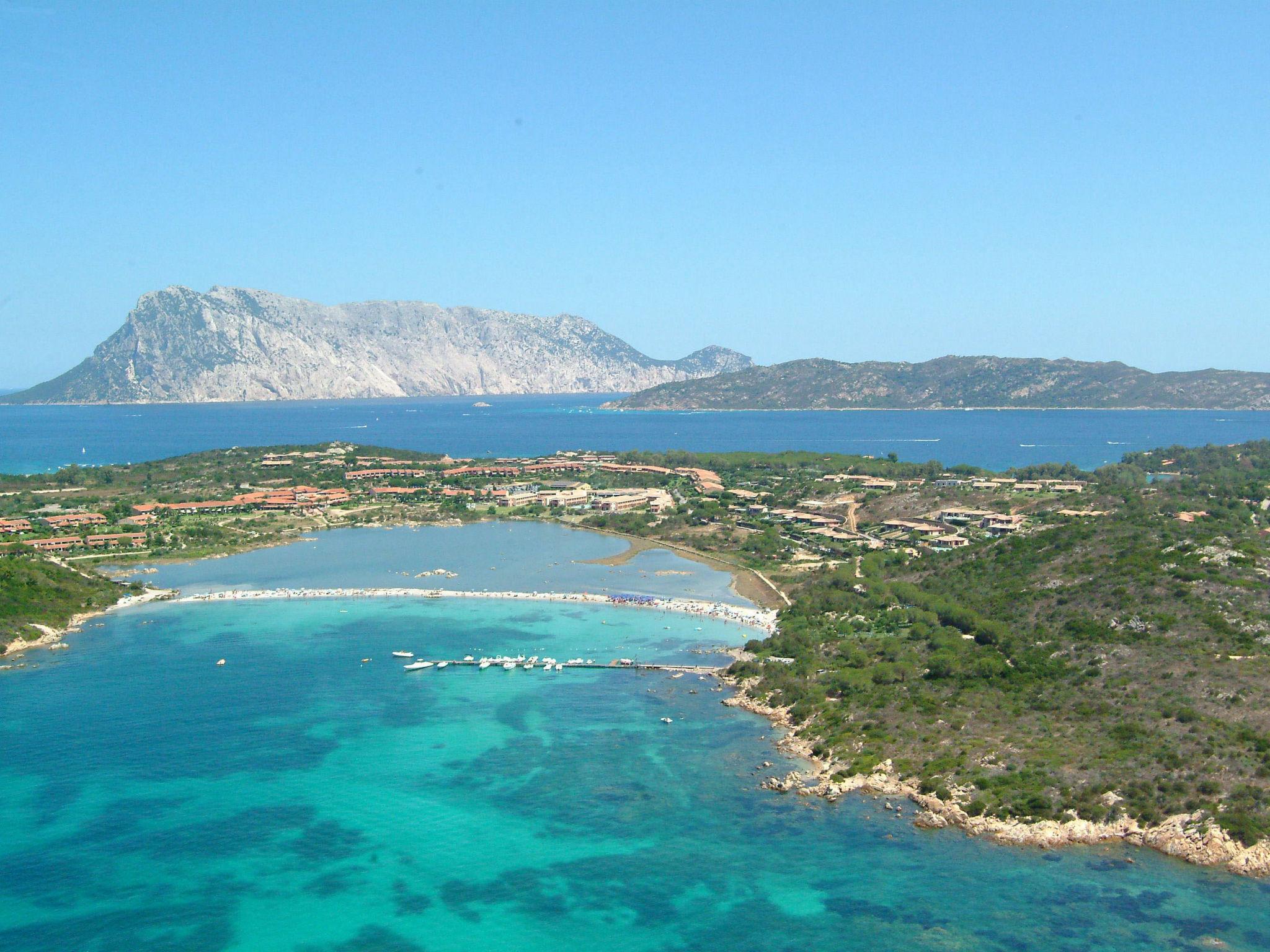 Foto 18 - Appartamento con 2 camere da letto a San Teodoro con terrazza