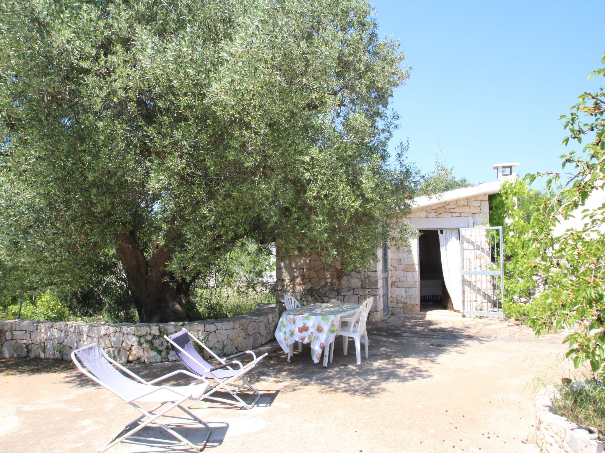 Photo 4 - Maison de 1 chambre à Ceglie Messapica avec jardin et vues à la mer