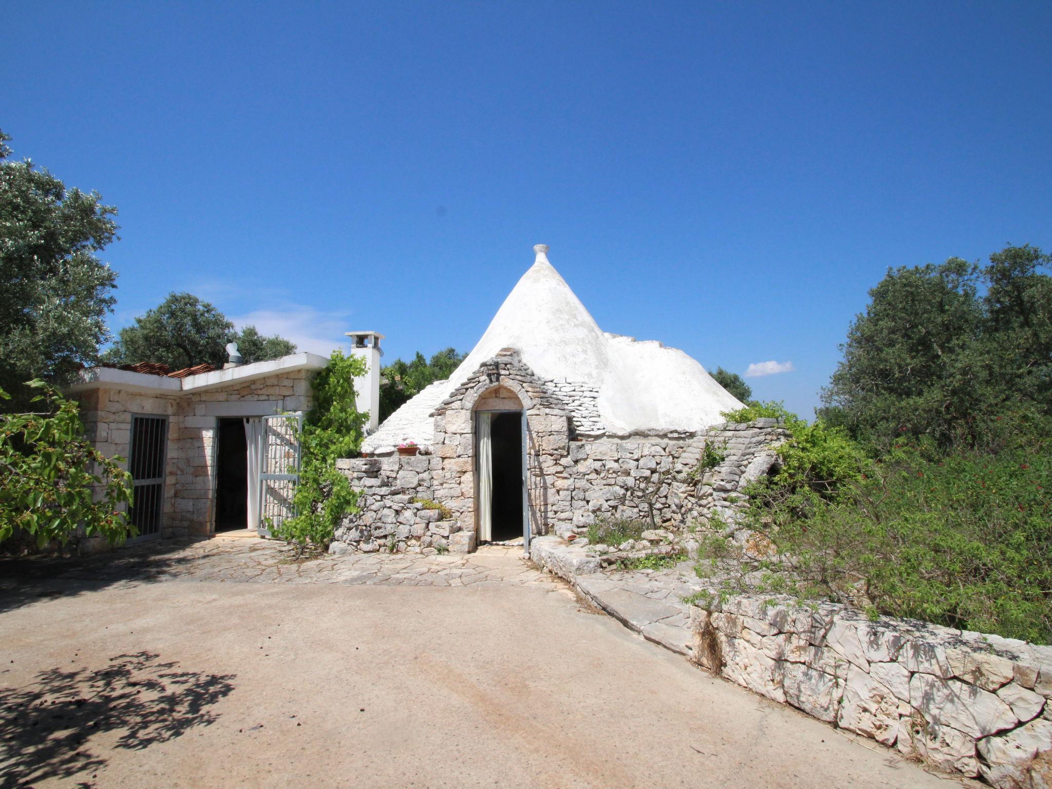 Photo 2 - Maison de 1 chambre à Ceglie Messapica avec jardin et vues à la mer