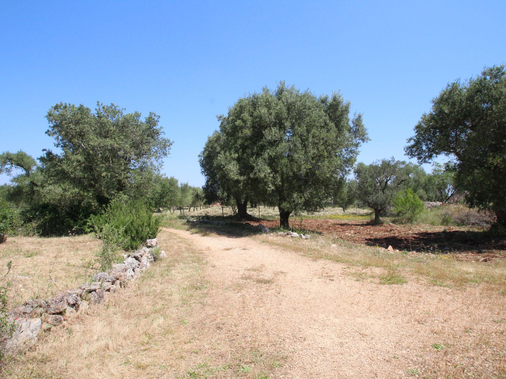 Photo 18 - Maison de 1 chambre à Ceglie Messapica avec jardin et vues à la mer