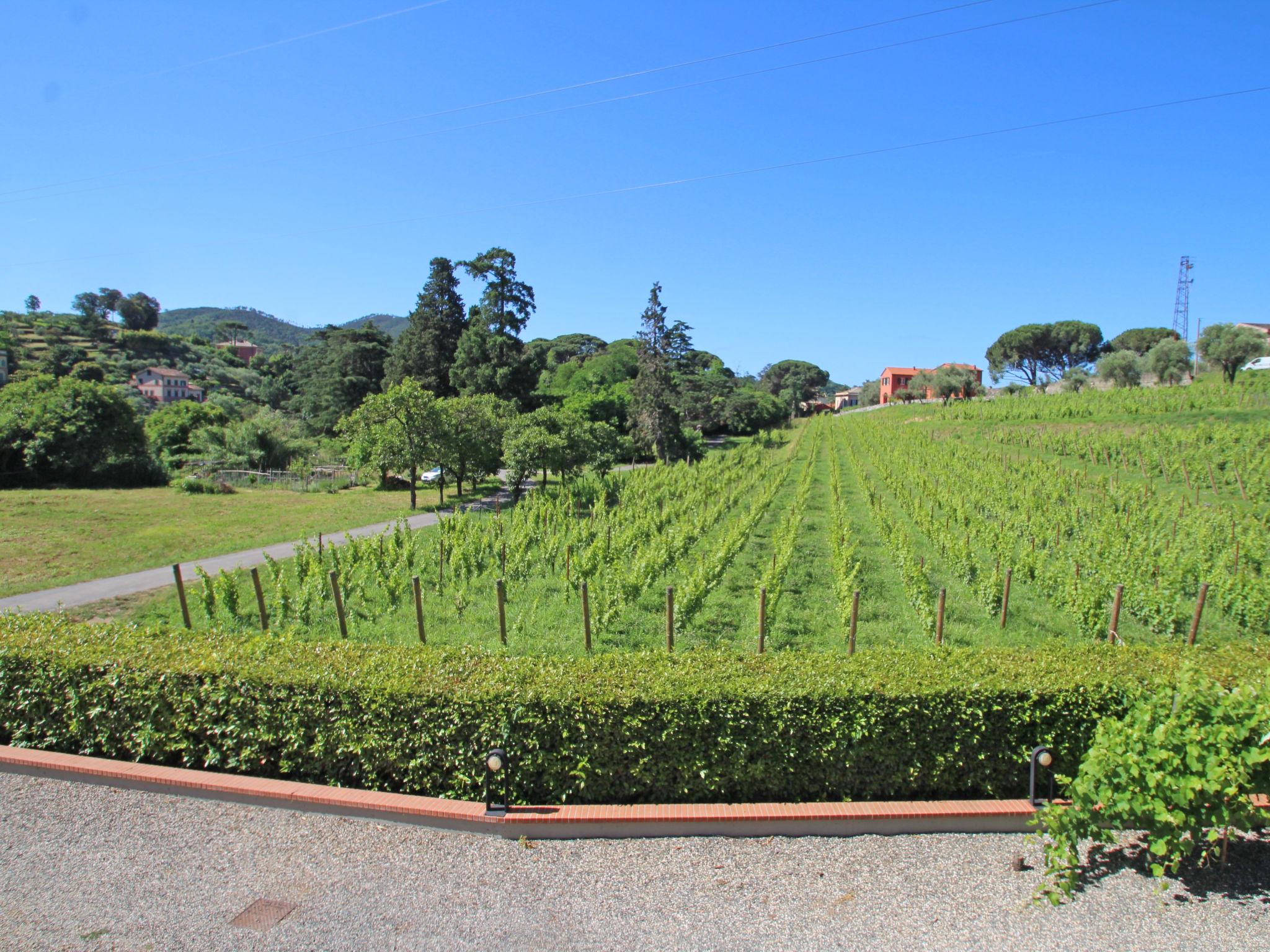 Foto 17 - Appartamento con 2 camere da letto a Sestri Levante con giardino e vista mare