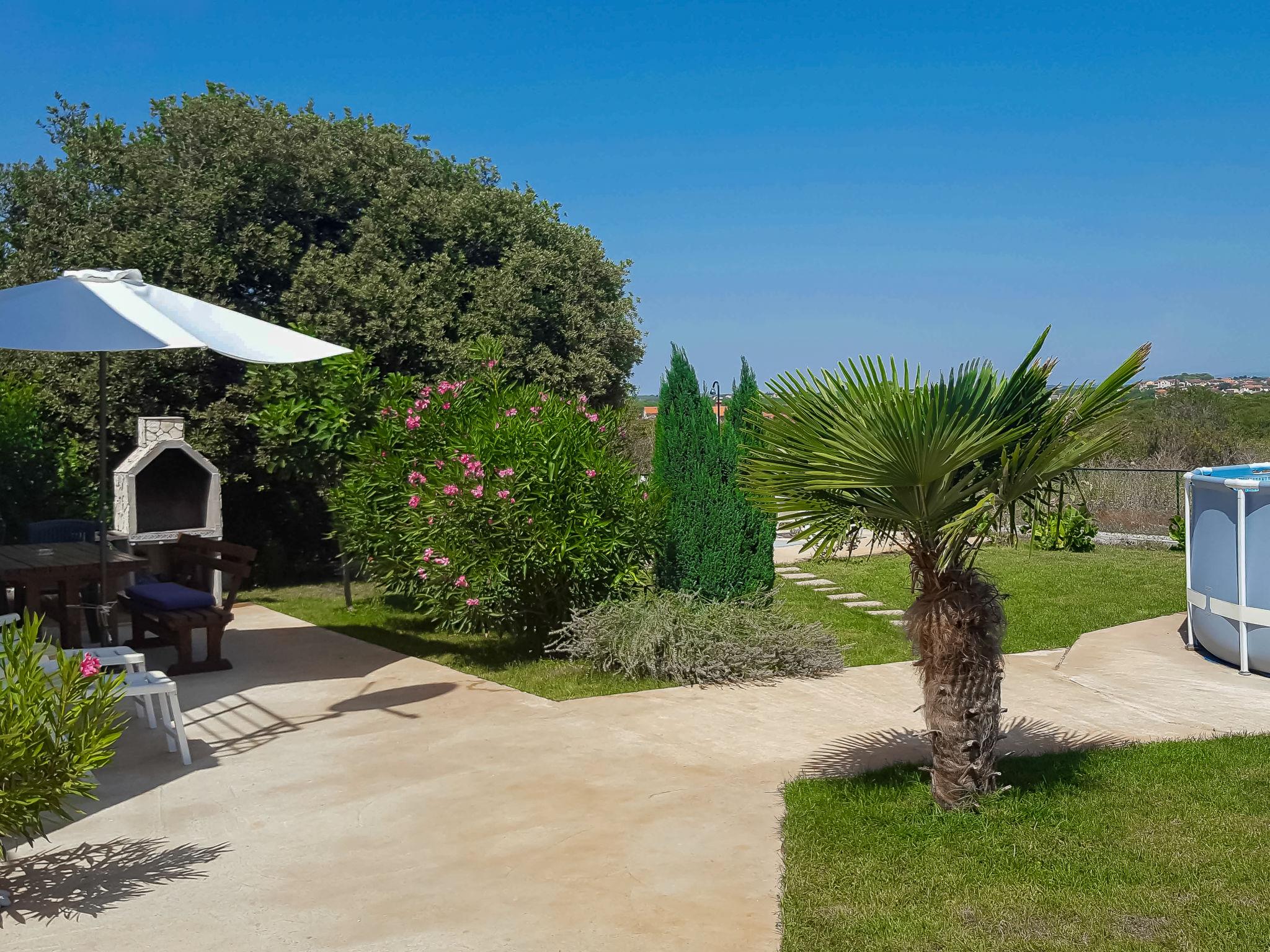 Photo 13 - 3 bedroom House in Pula with private pool and garden