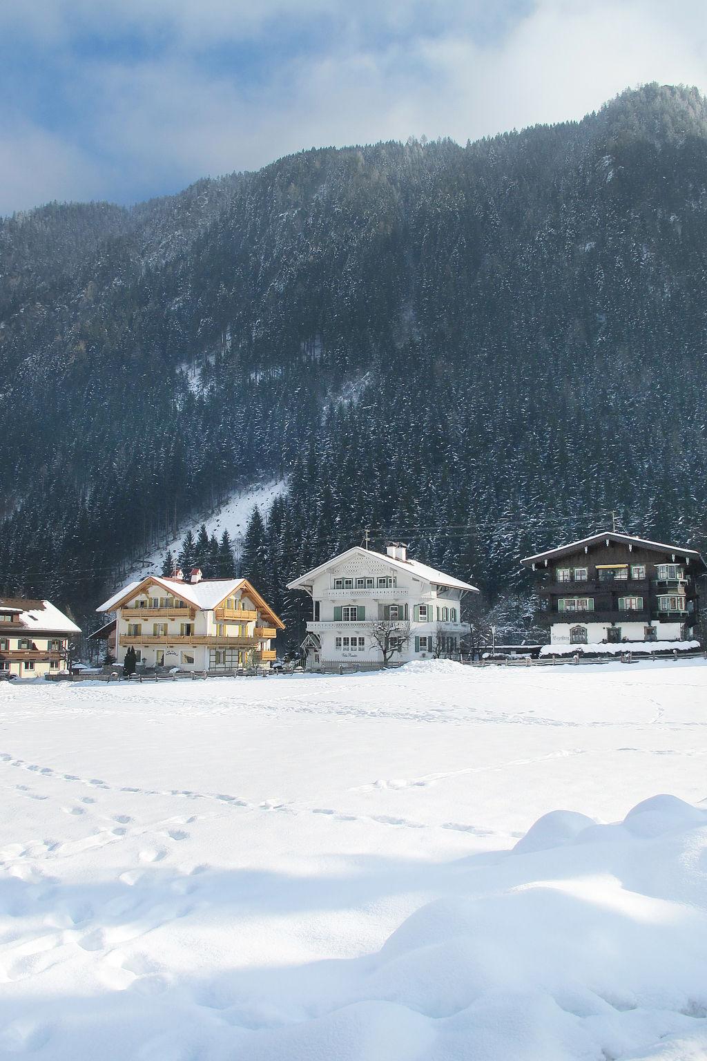 Foto 27 - Apartment mit 3 Schlafzimmern in Mayrhofen mit garten und blick auf die berge