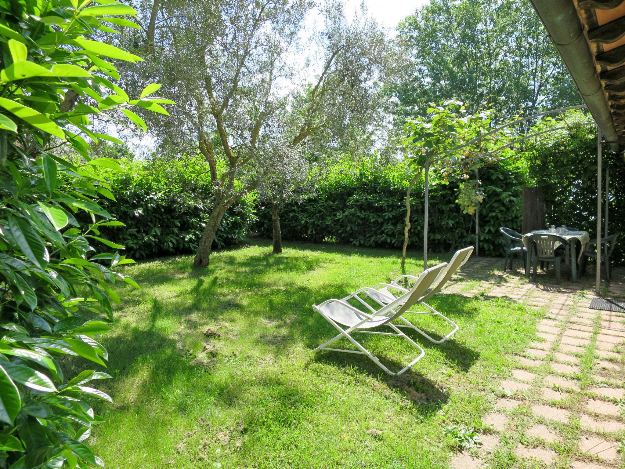 Photo 3 - Maison de 2 chambres à Montefiascone avec jardin et terrasse