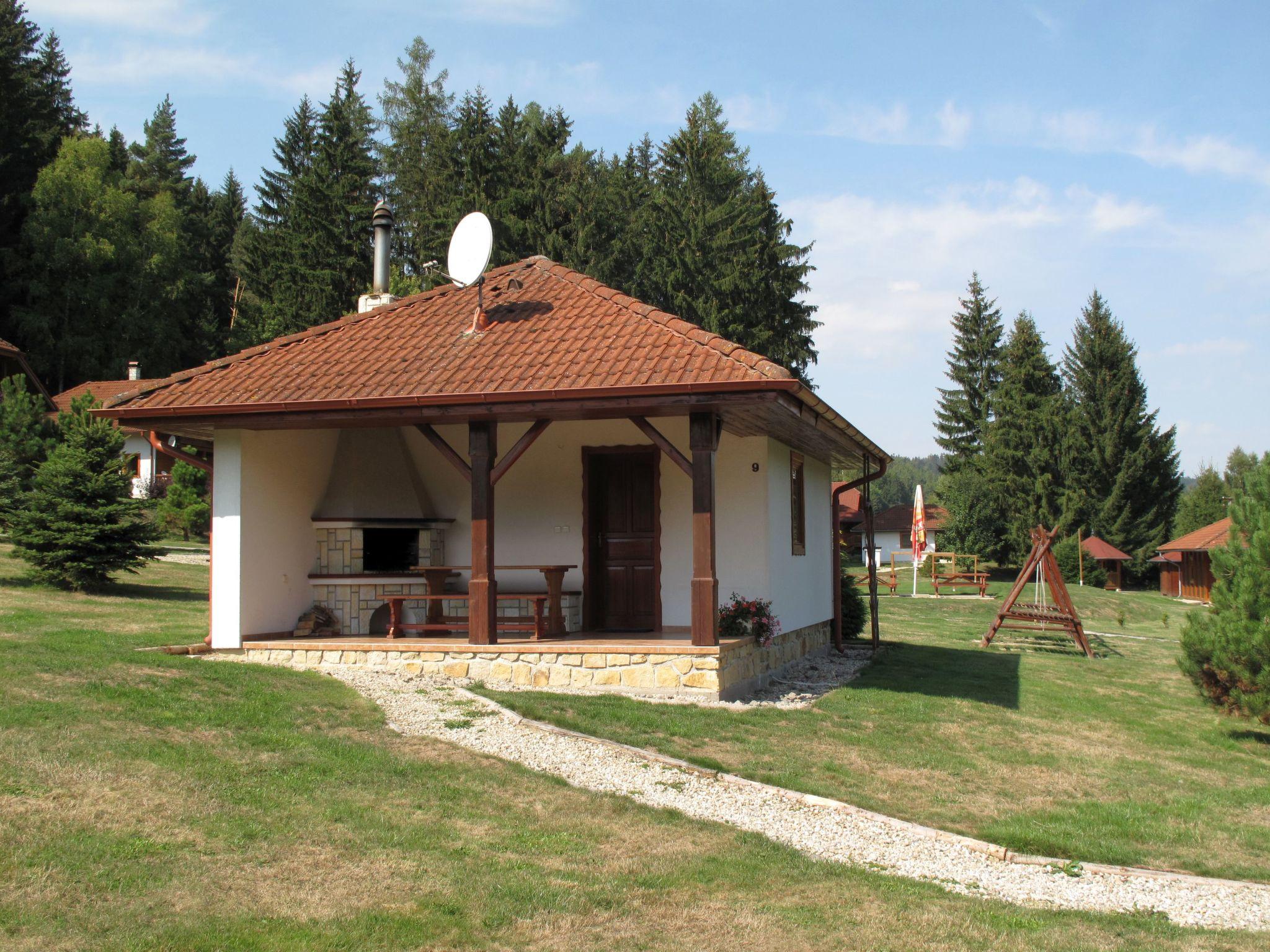 Foto 5 - Casa en Borušov con piscina y jardín