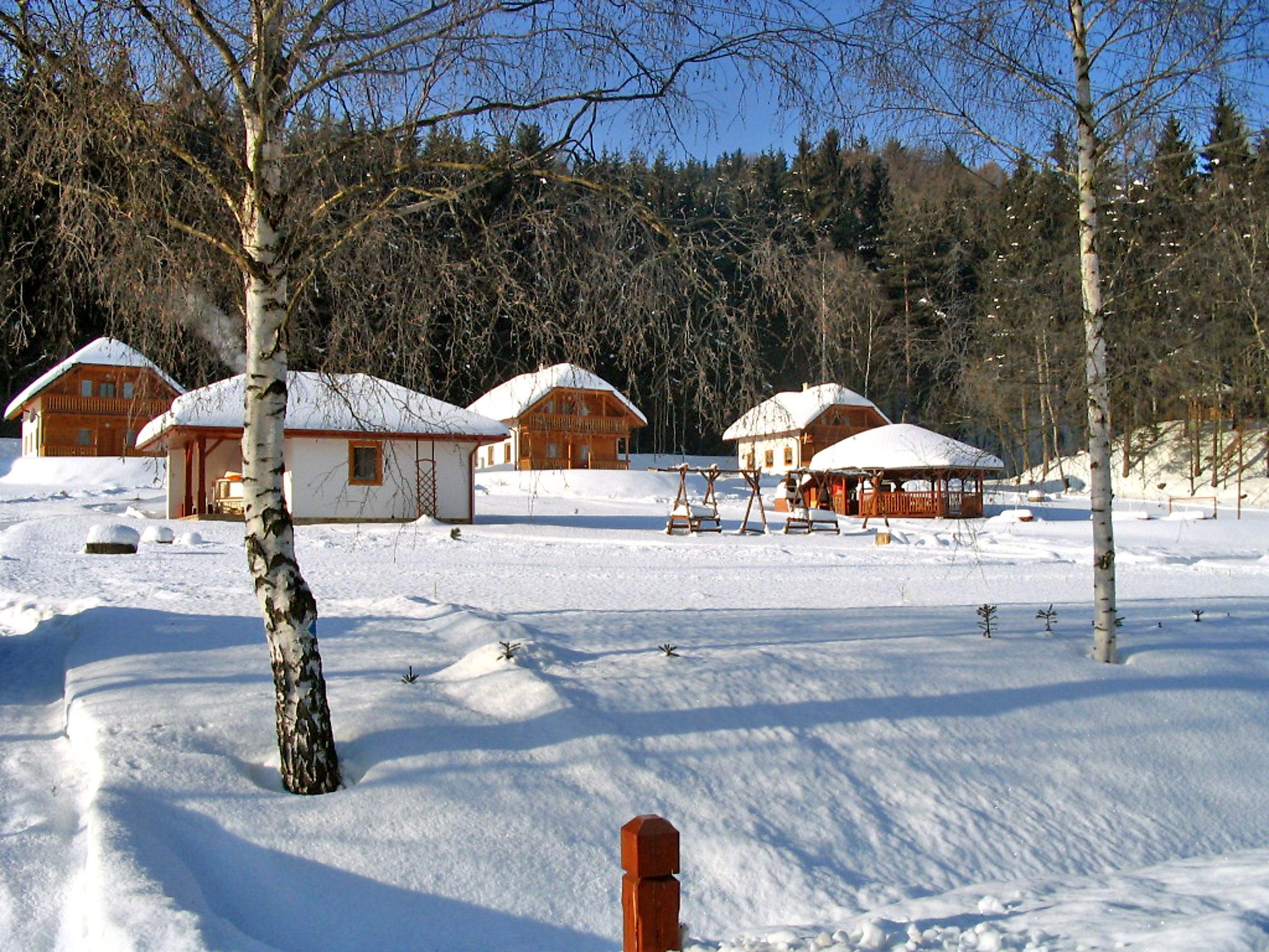 Foto 15 - Casa en Borušov con piscina y jardín