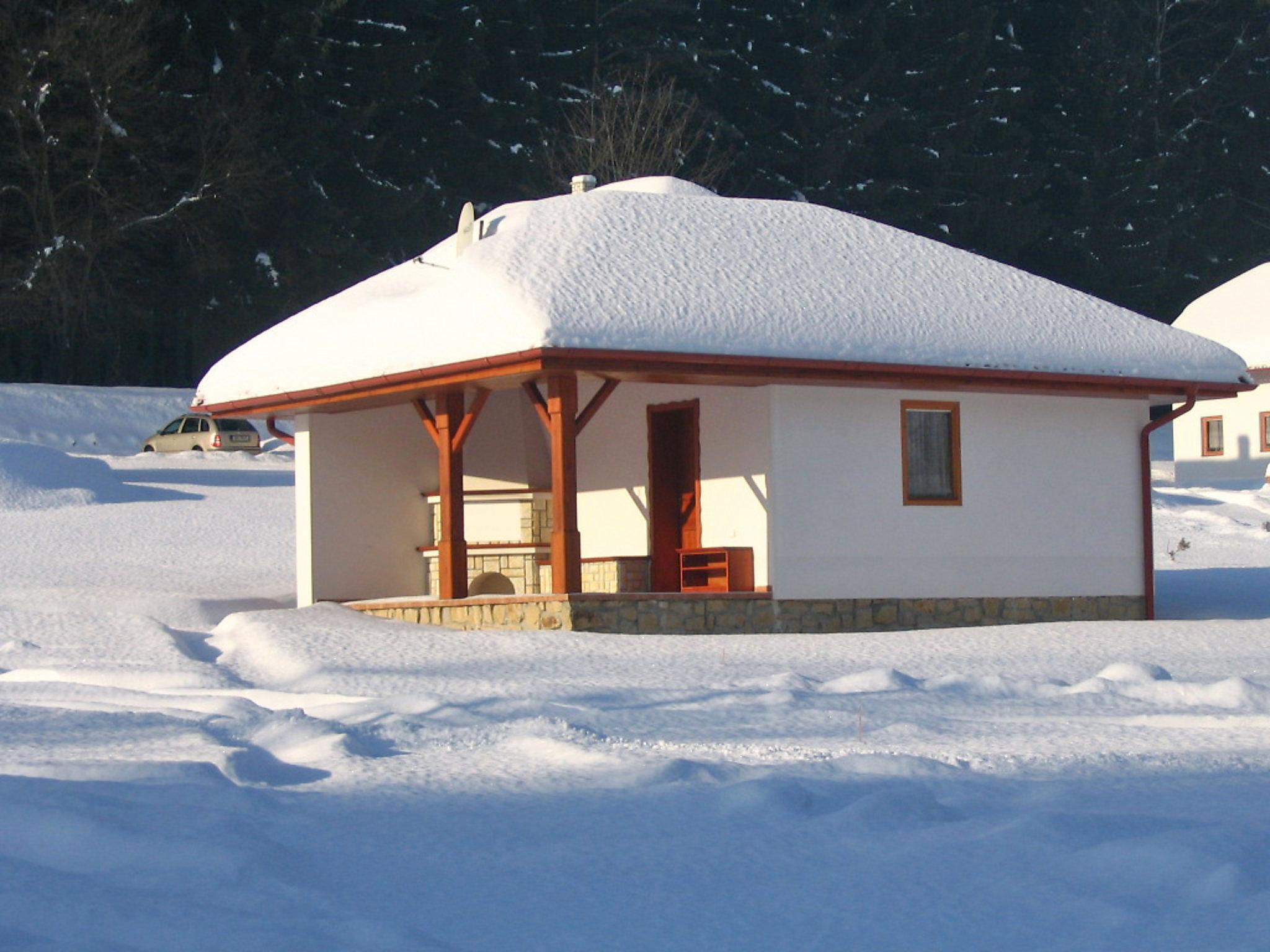 Foto 16 - Casa en Borušov con piscina y jardín