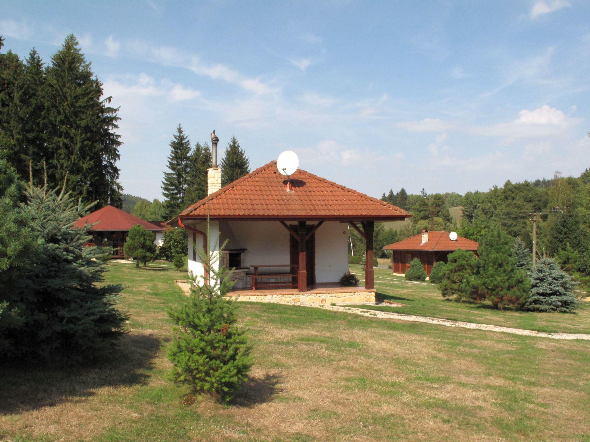 Foto 8 - Casa a Borušov con piscina e giardino