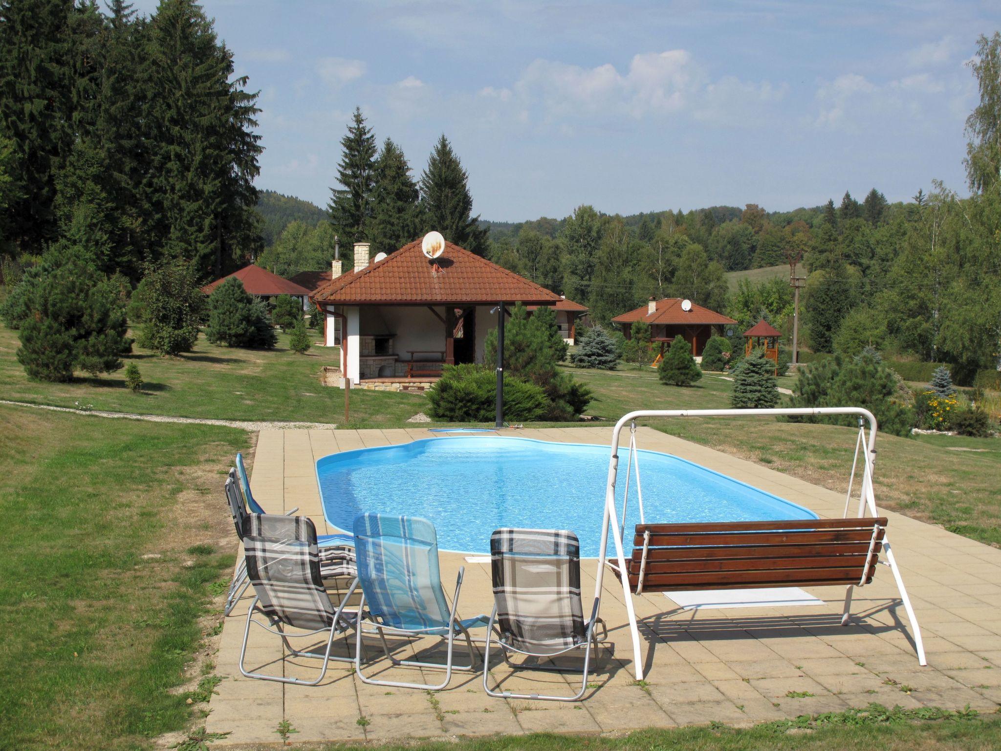 Foto 1 - Casa em Borušov com piscina e jardim