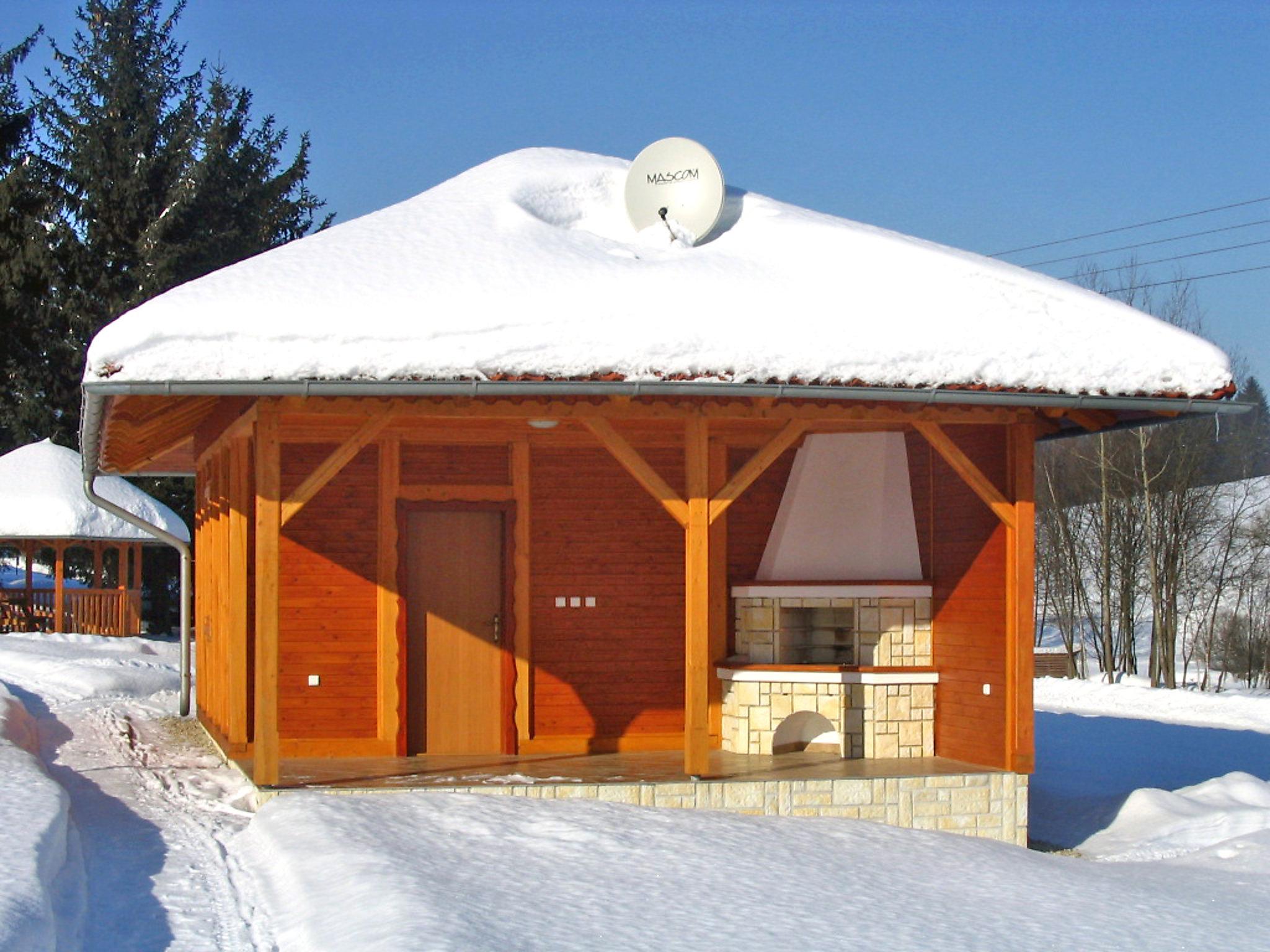 Photo 17 - Maison en Borušov avec piscine et jardin