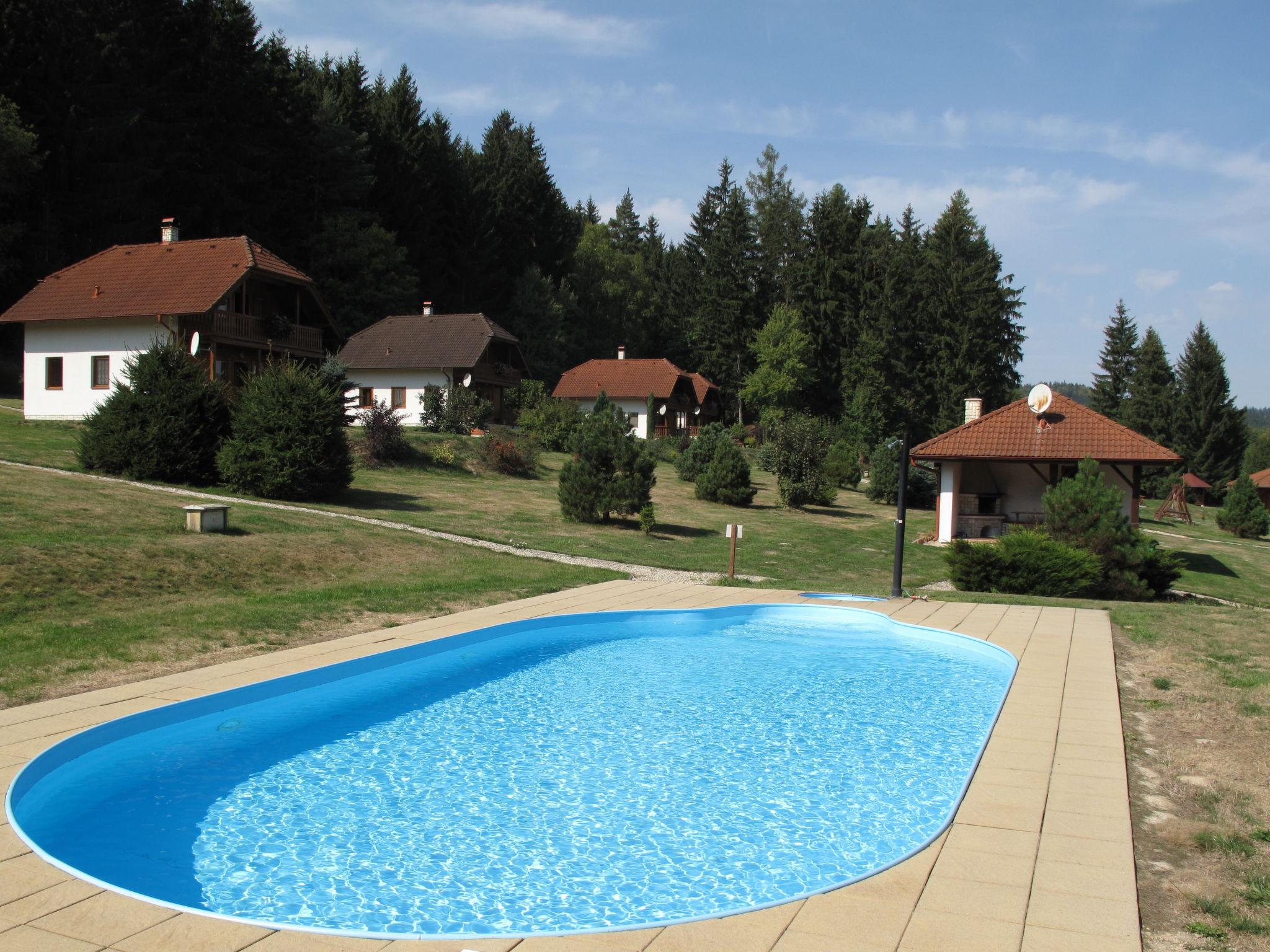 Foto 9 - Casa em Borušov com piscina e jardim