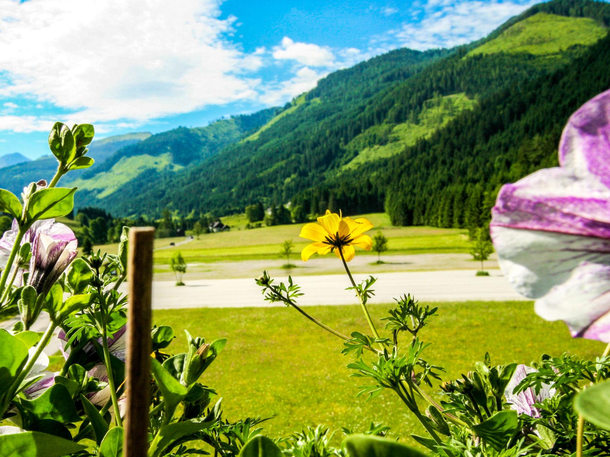 Photo 10 - Appartement de 1 chambre à Irdning-Donnersbachtal avec jardin et vues sur la montagne