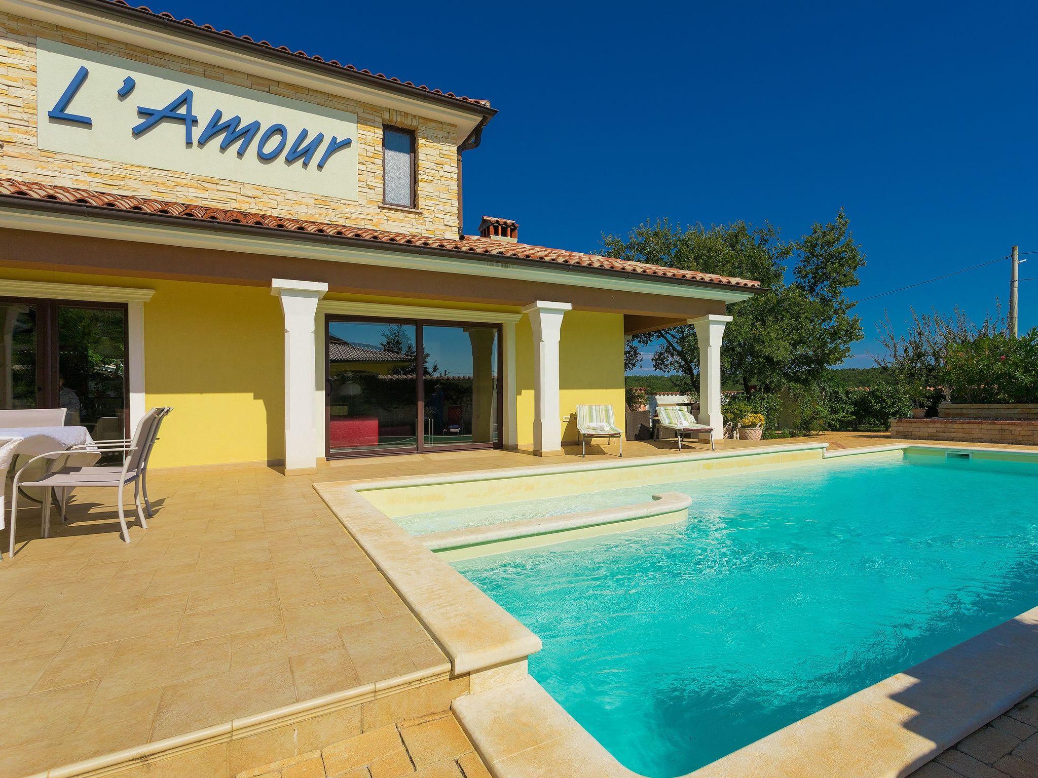 Foto 54 - Casa de 4 quartos em Vodnjan com piscina privada e jardim