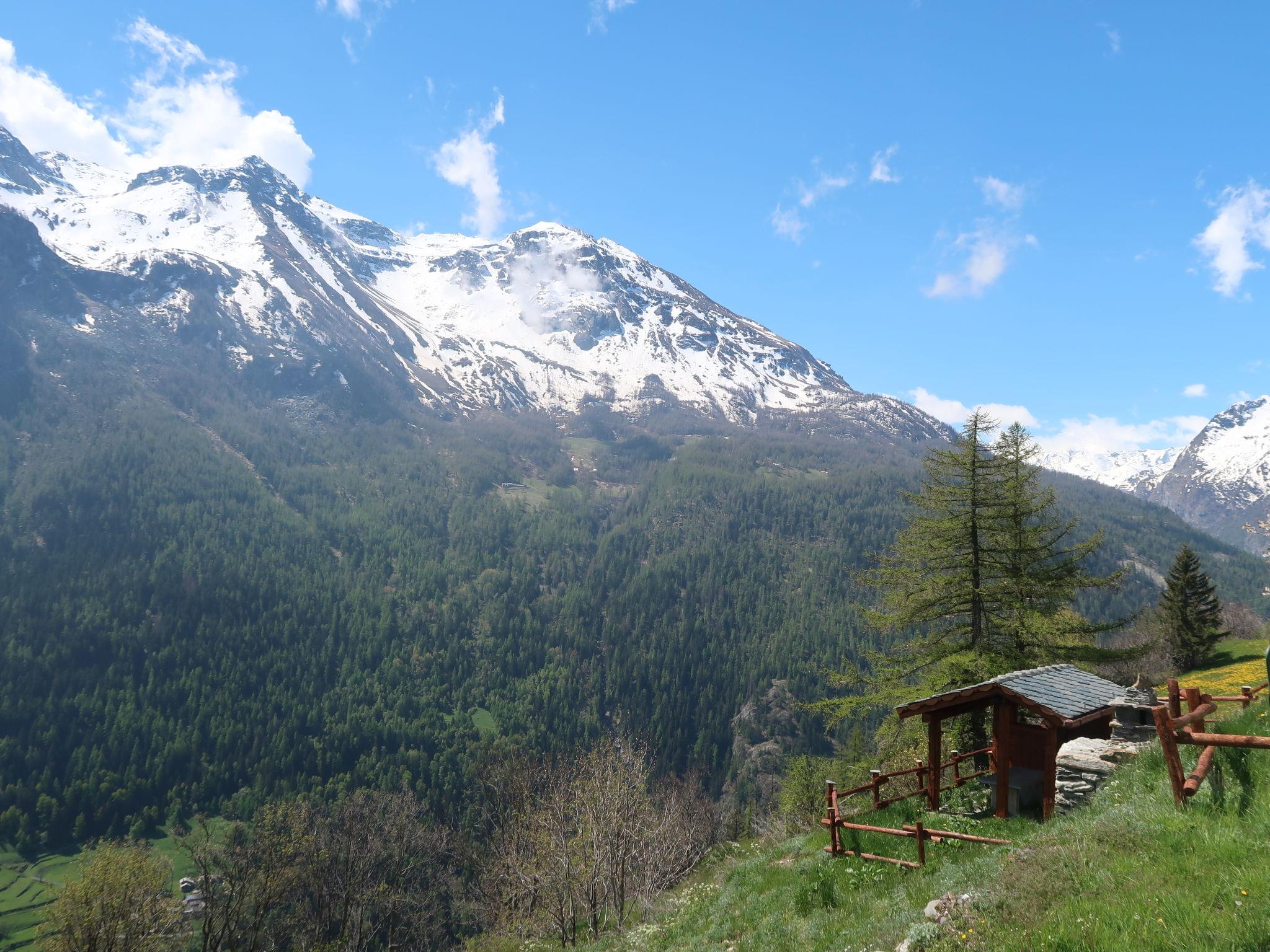 Foto 24 - Appartamento con 1 camera da letto a Avise con giardino e vista sulle montagne