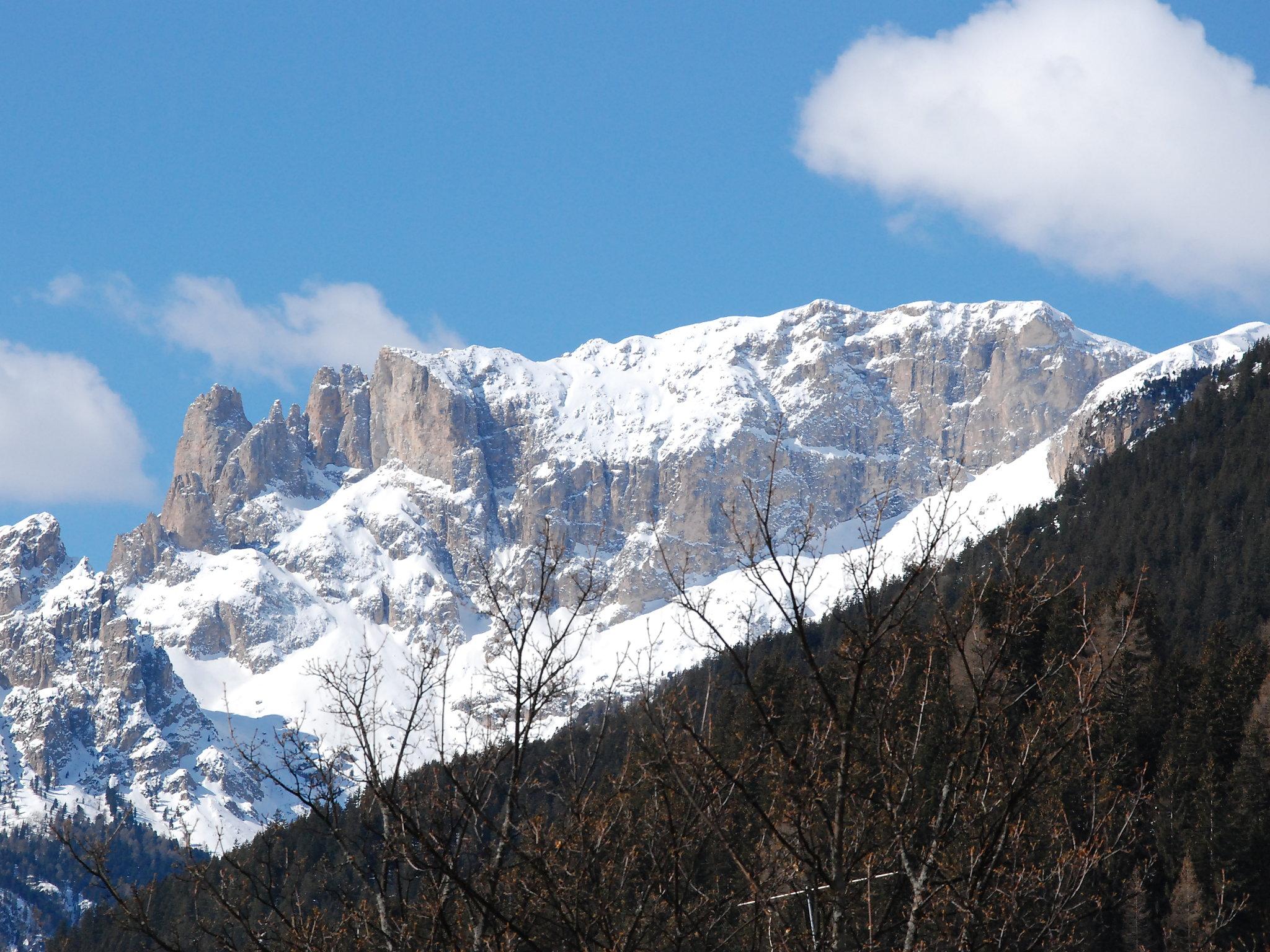 Photo 17 - 1 bedroom Apartment in Campitello di Fassa with mountain view