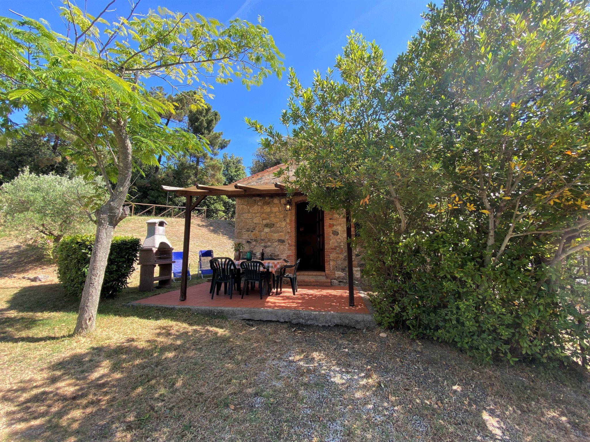 Foto 3 - Casa con 2 camere da letto a Riparbella con piscina e giardino