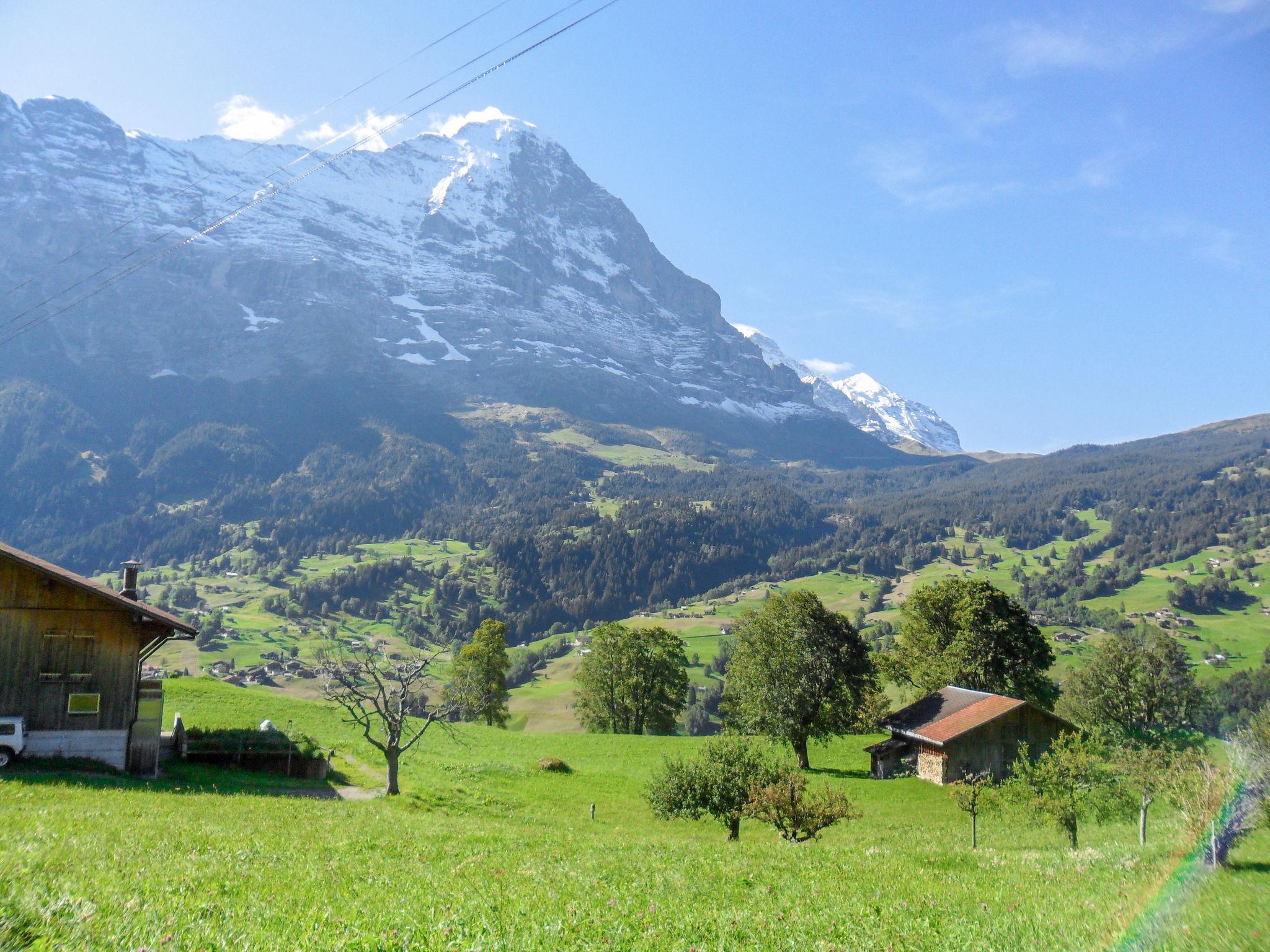 Foto 15 - Apartamento de 3 quartos em Grindelwald com jardim e vista para a montanha