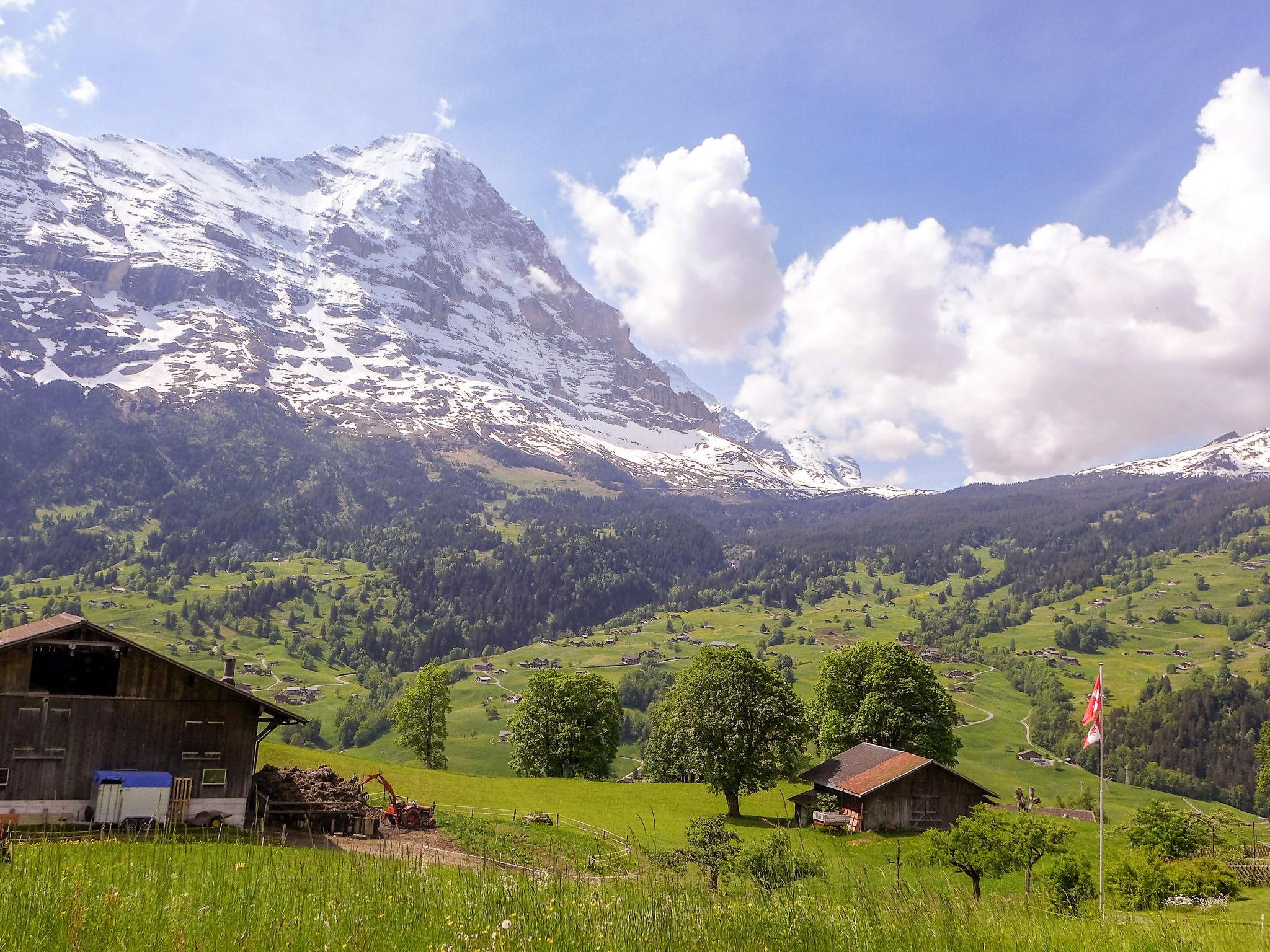 Foto 17 - Apartamento de 3 habitaciones en Grindelwald con jardín y terraza